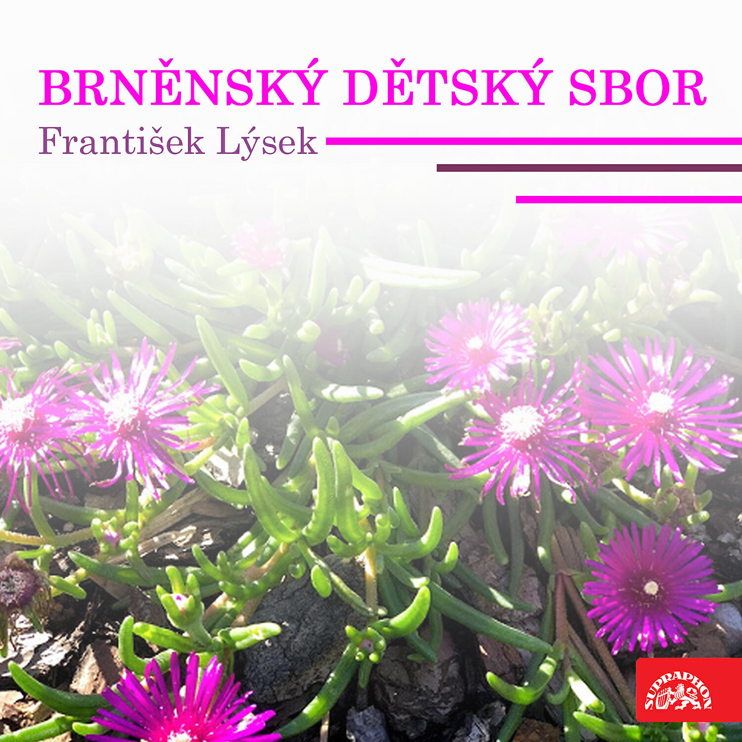 Brněnský dětský sbor