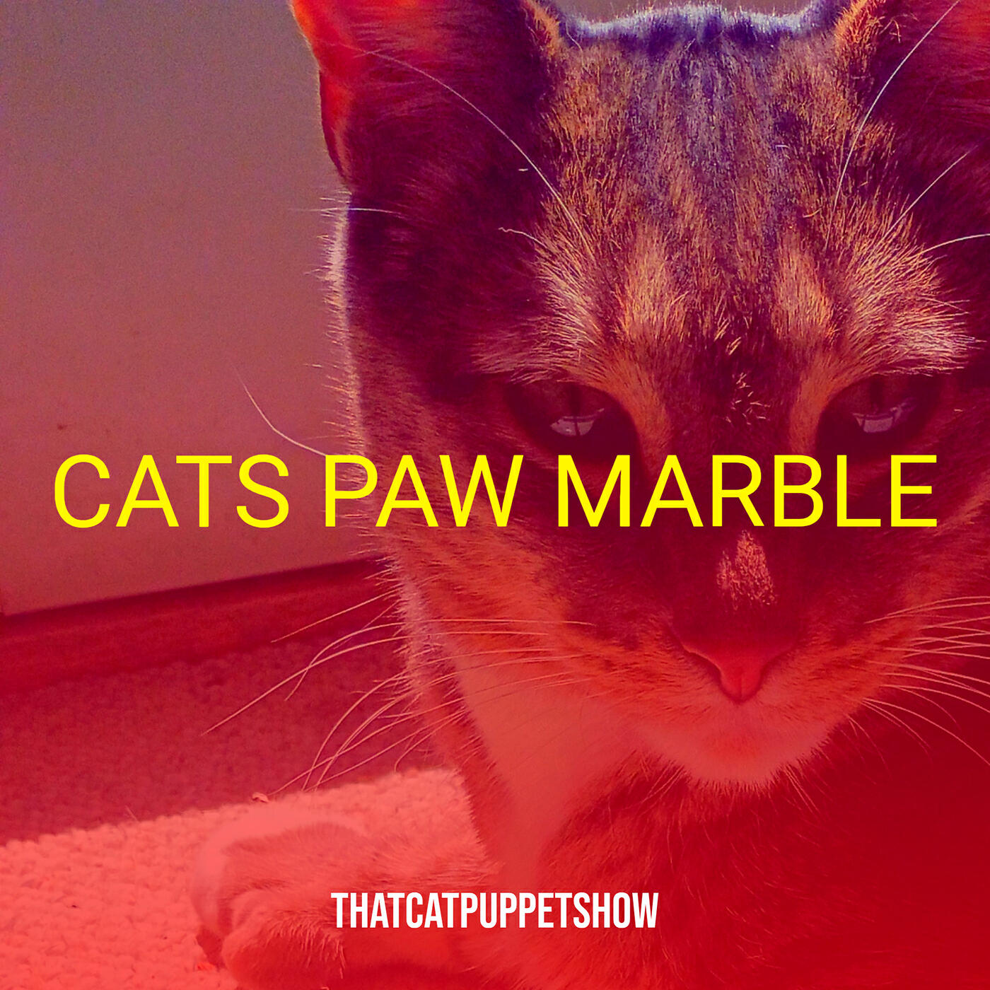 Релиз Cats Paw Marble