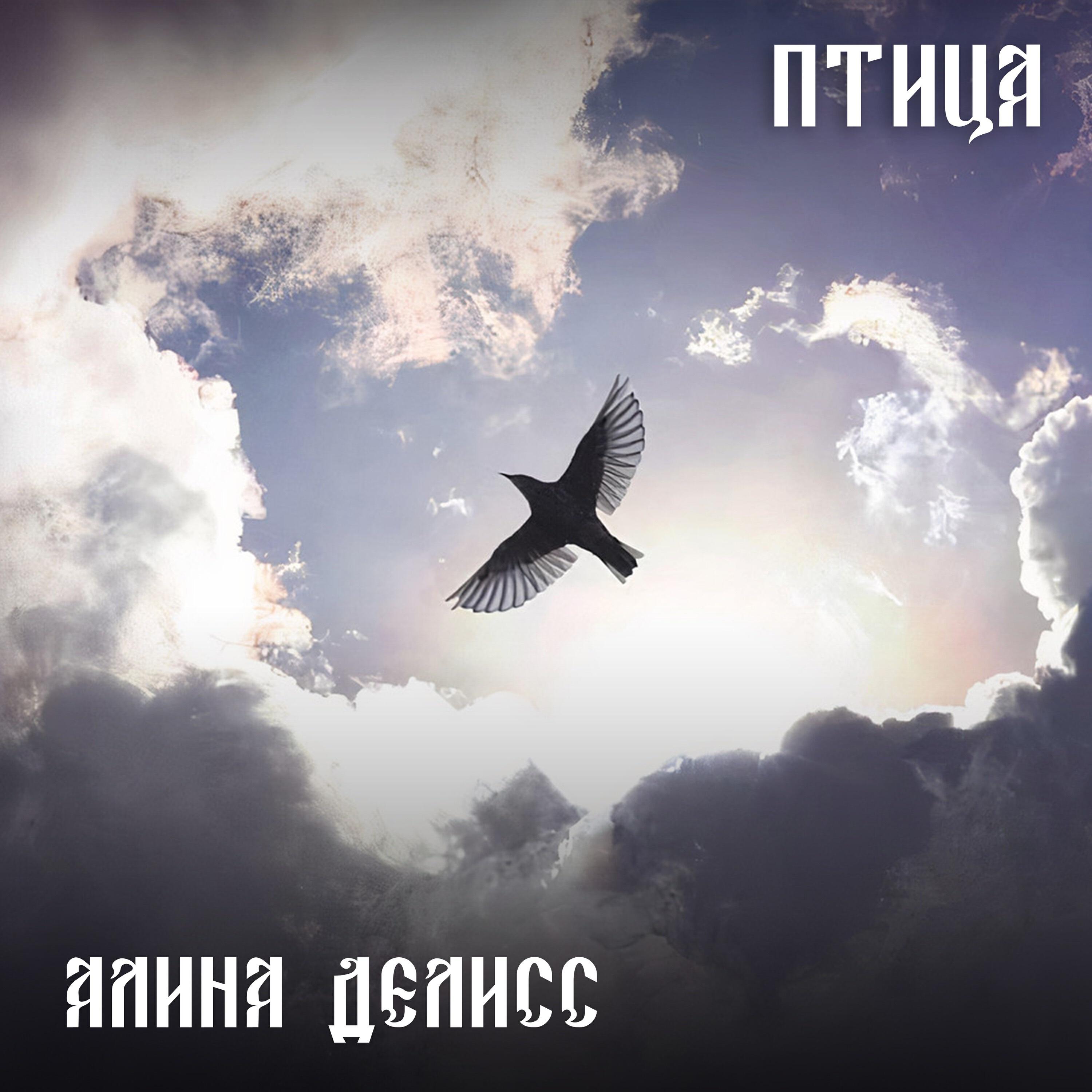 Релиз Птица