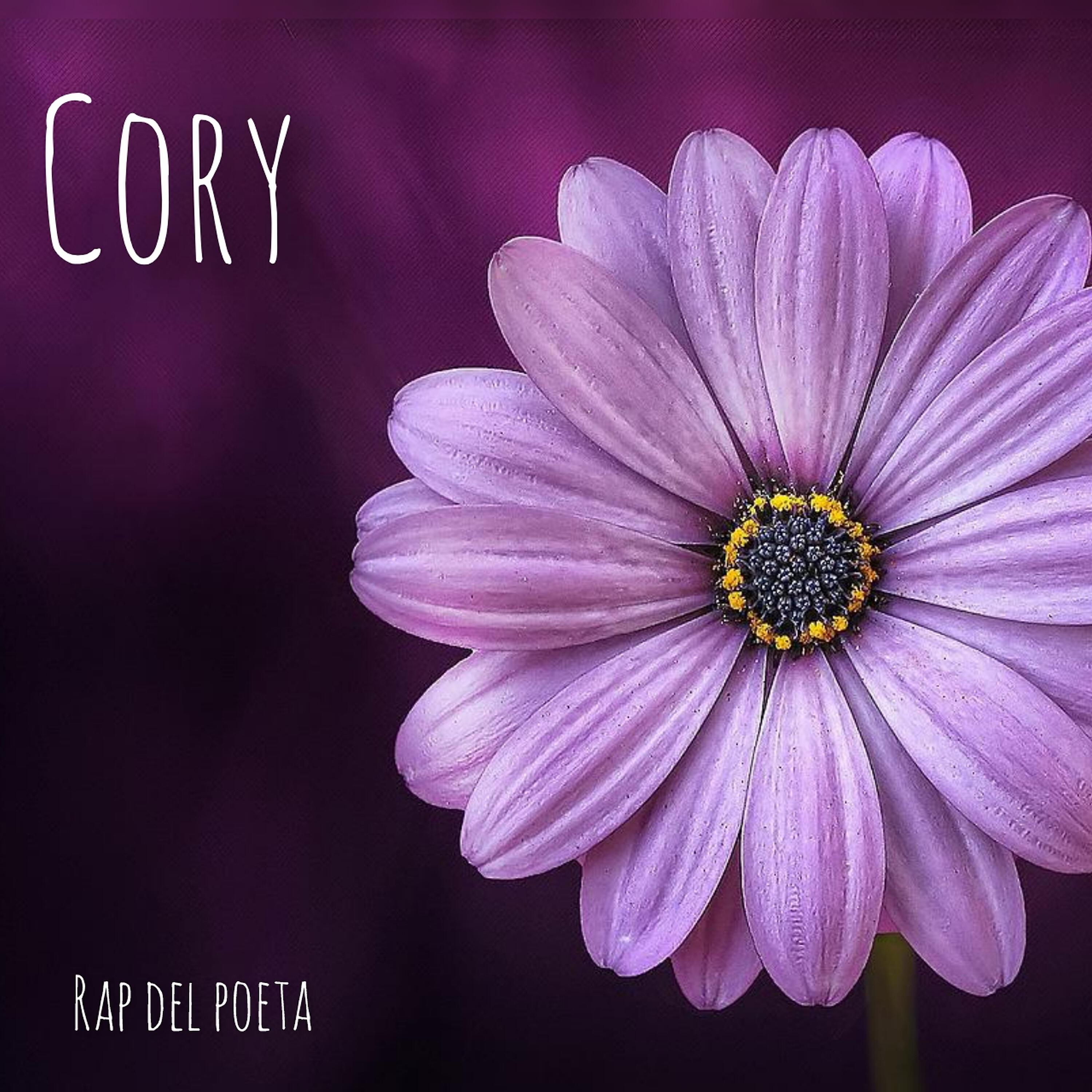 Релиз Cory