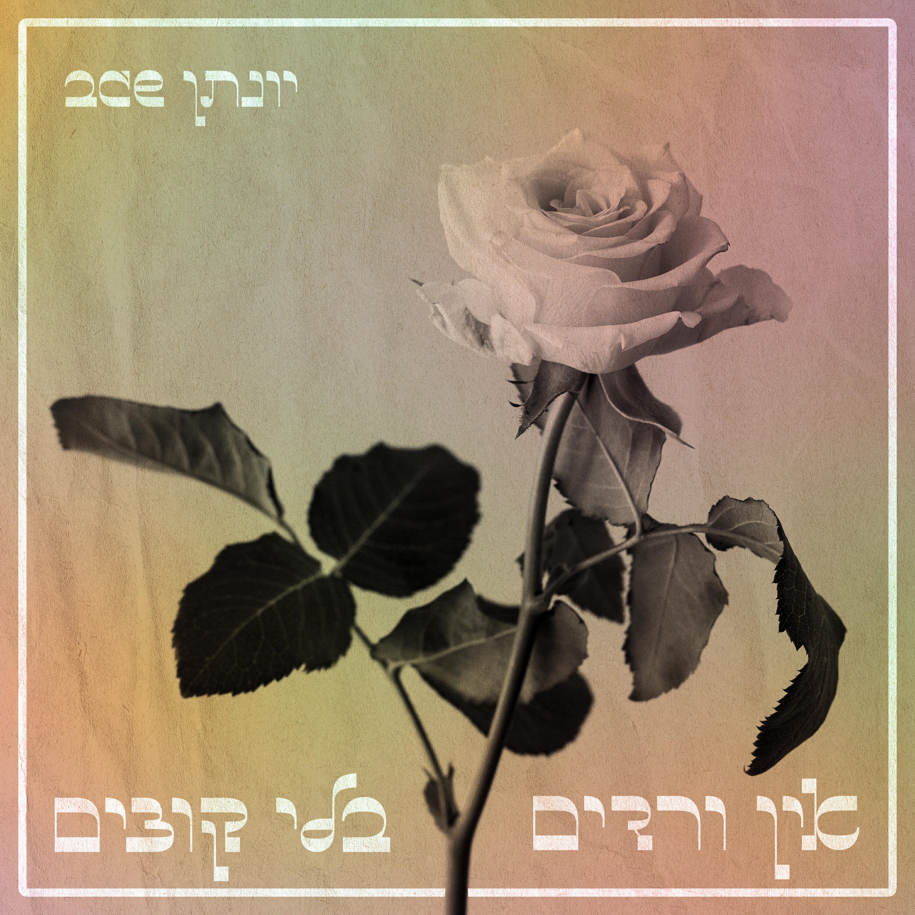 Трек למטה מארח את רוישה