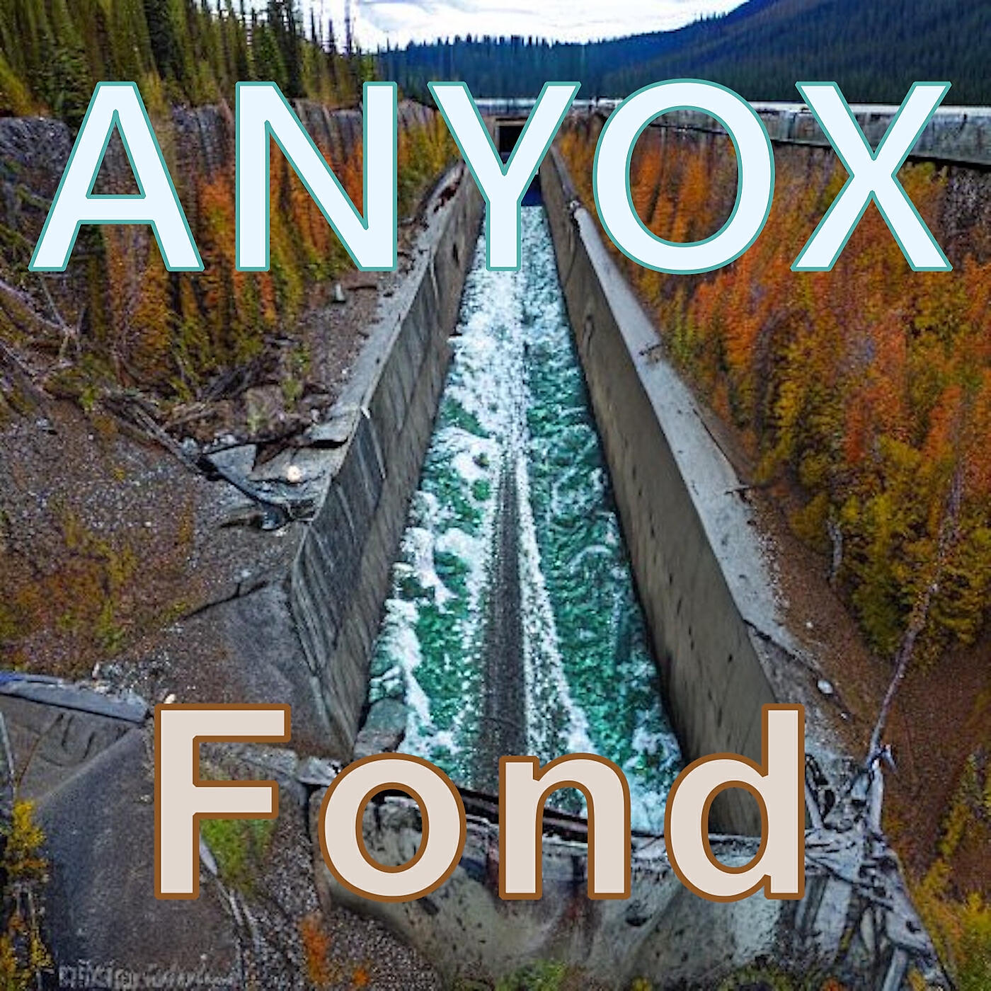 ANYOX