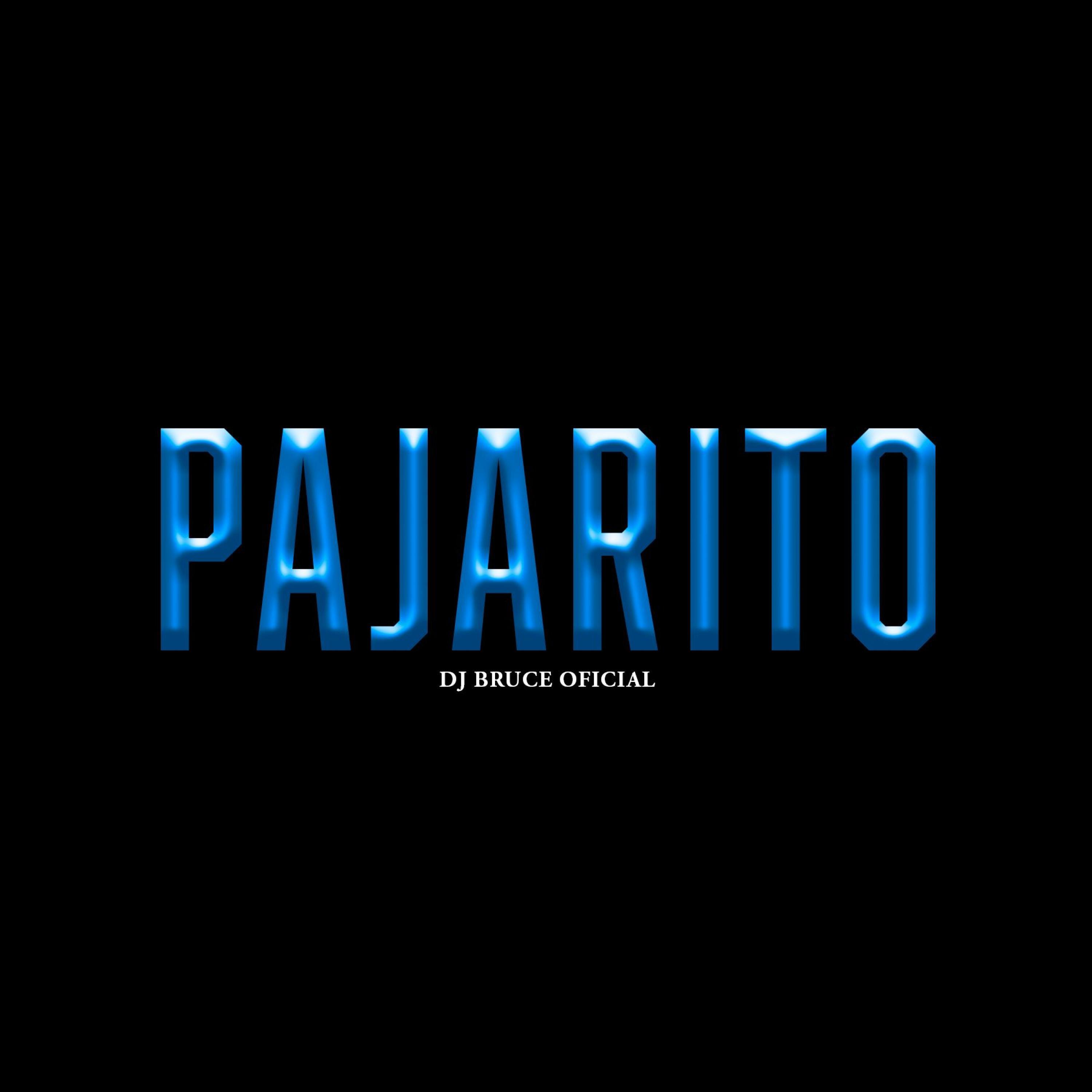 Релиз Pajarito