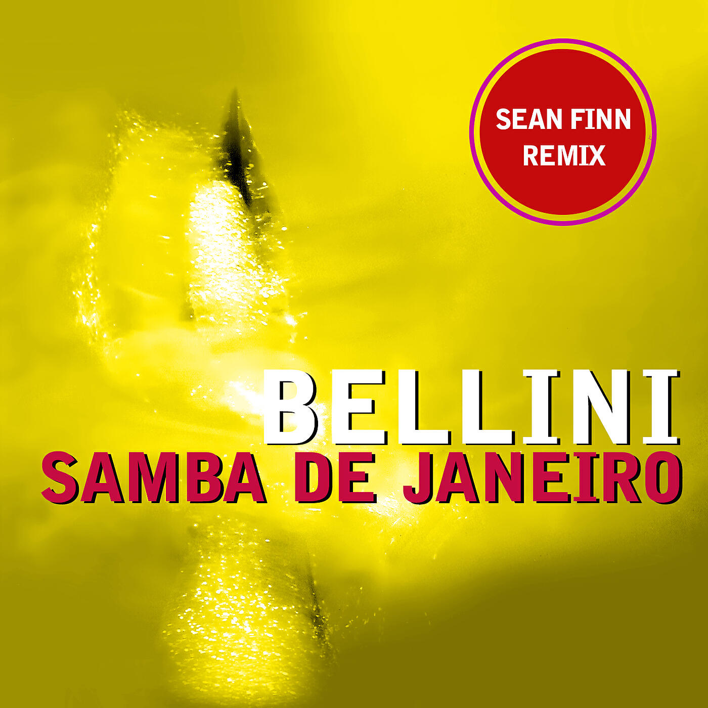 Постер альбома Samba De Janeiro
