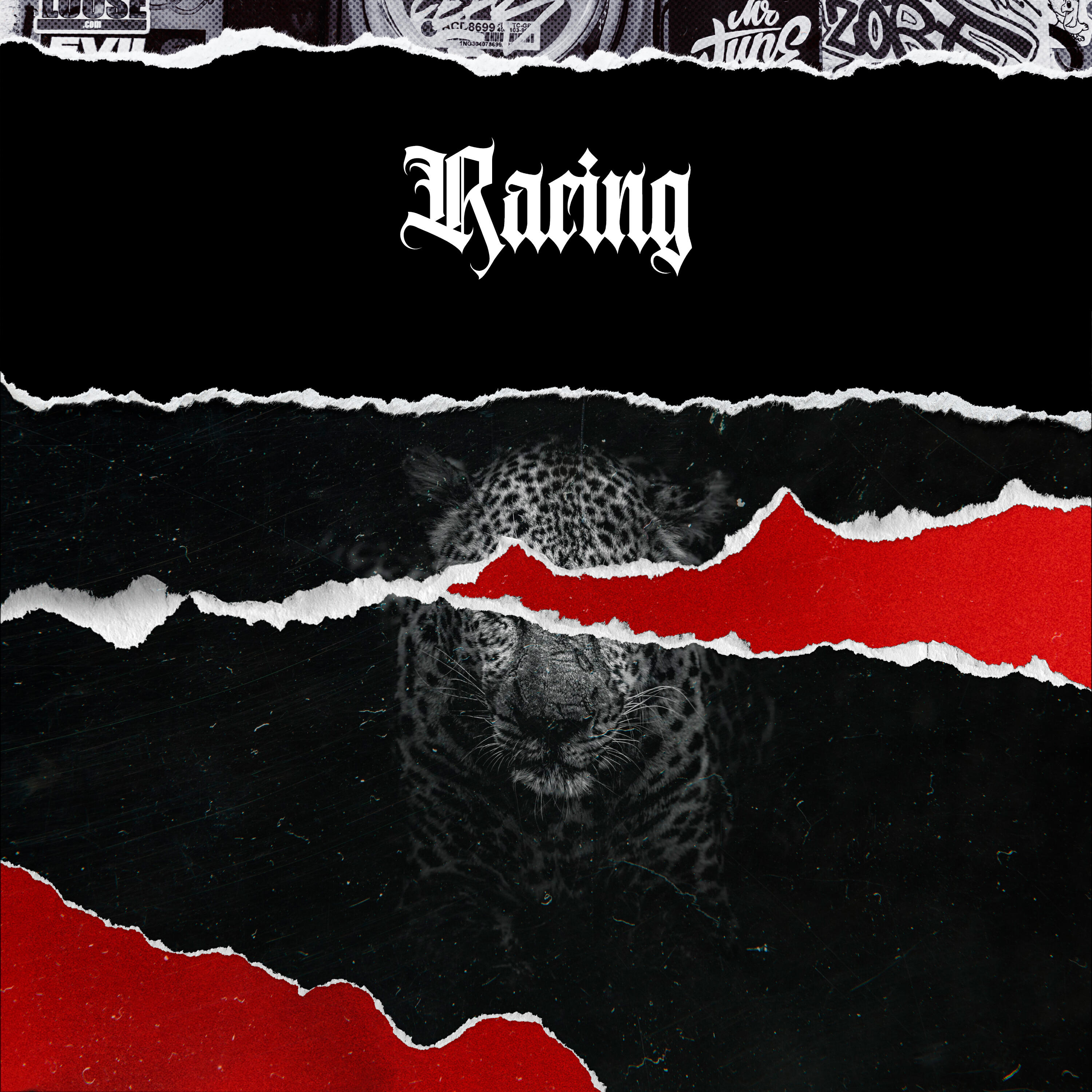 Релиз Racing