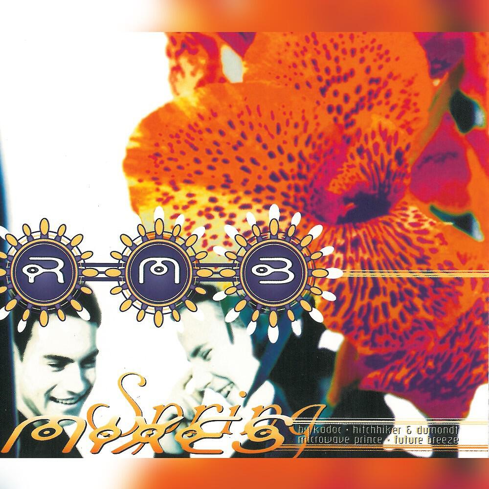 Релиз Spring (Remixes)