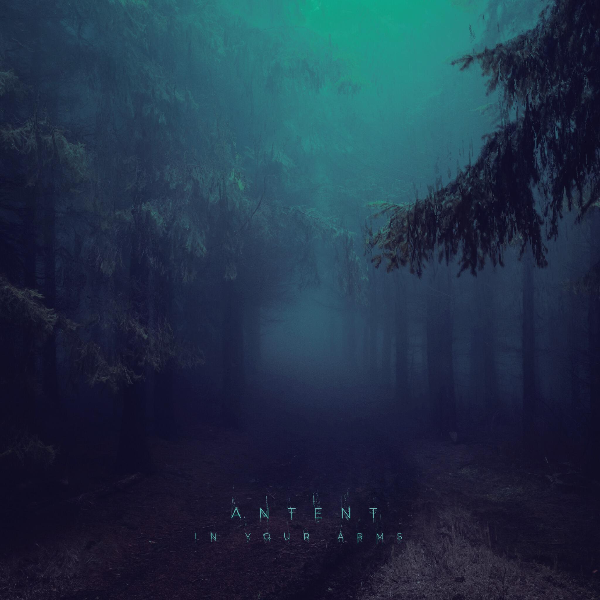 Релиз In Your Arms (Remixes)