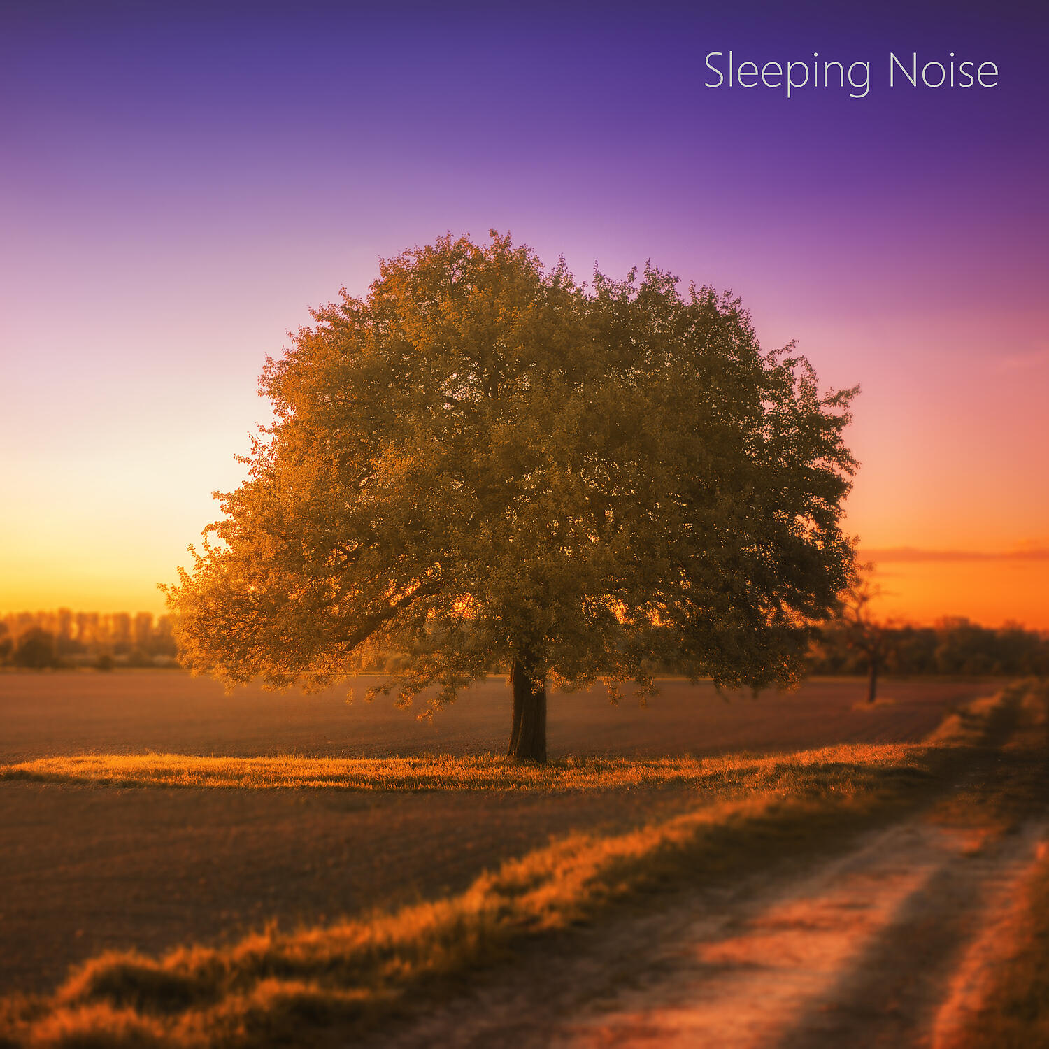 Smooth Looped Noise