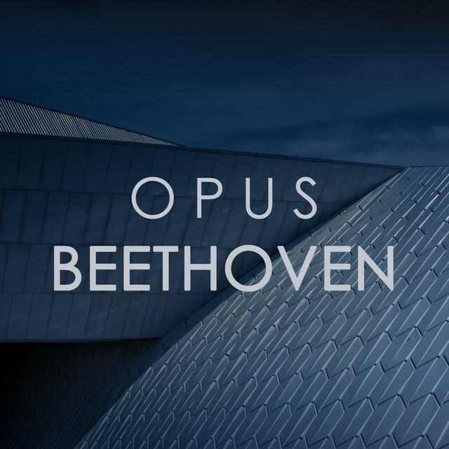 Релиз Opus Beethoven