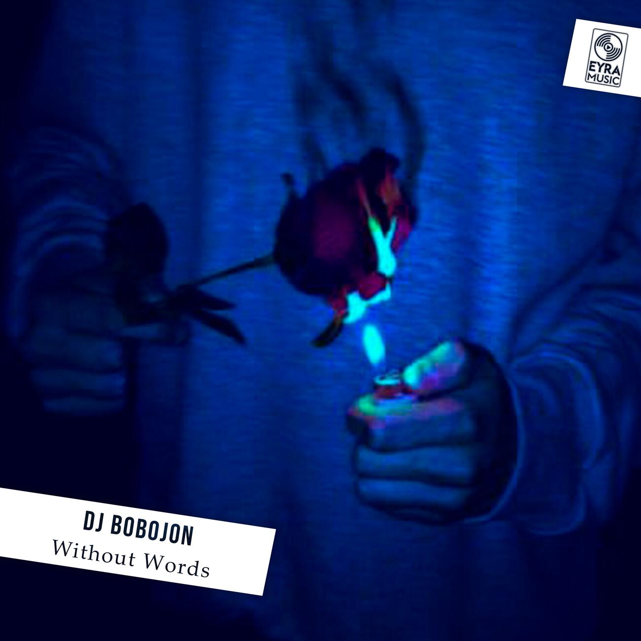 Постер альбома Without Words