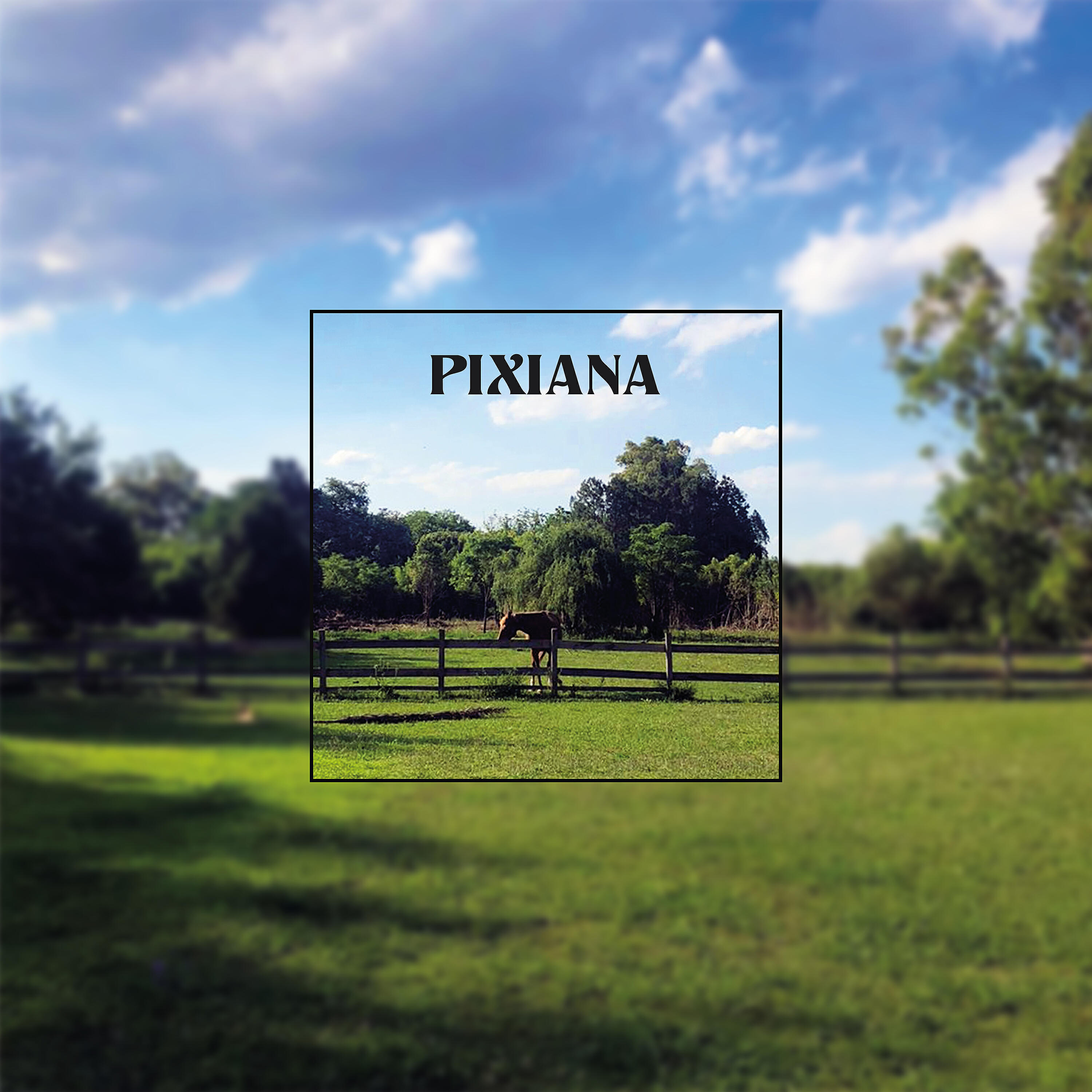 Релиз Pixiana