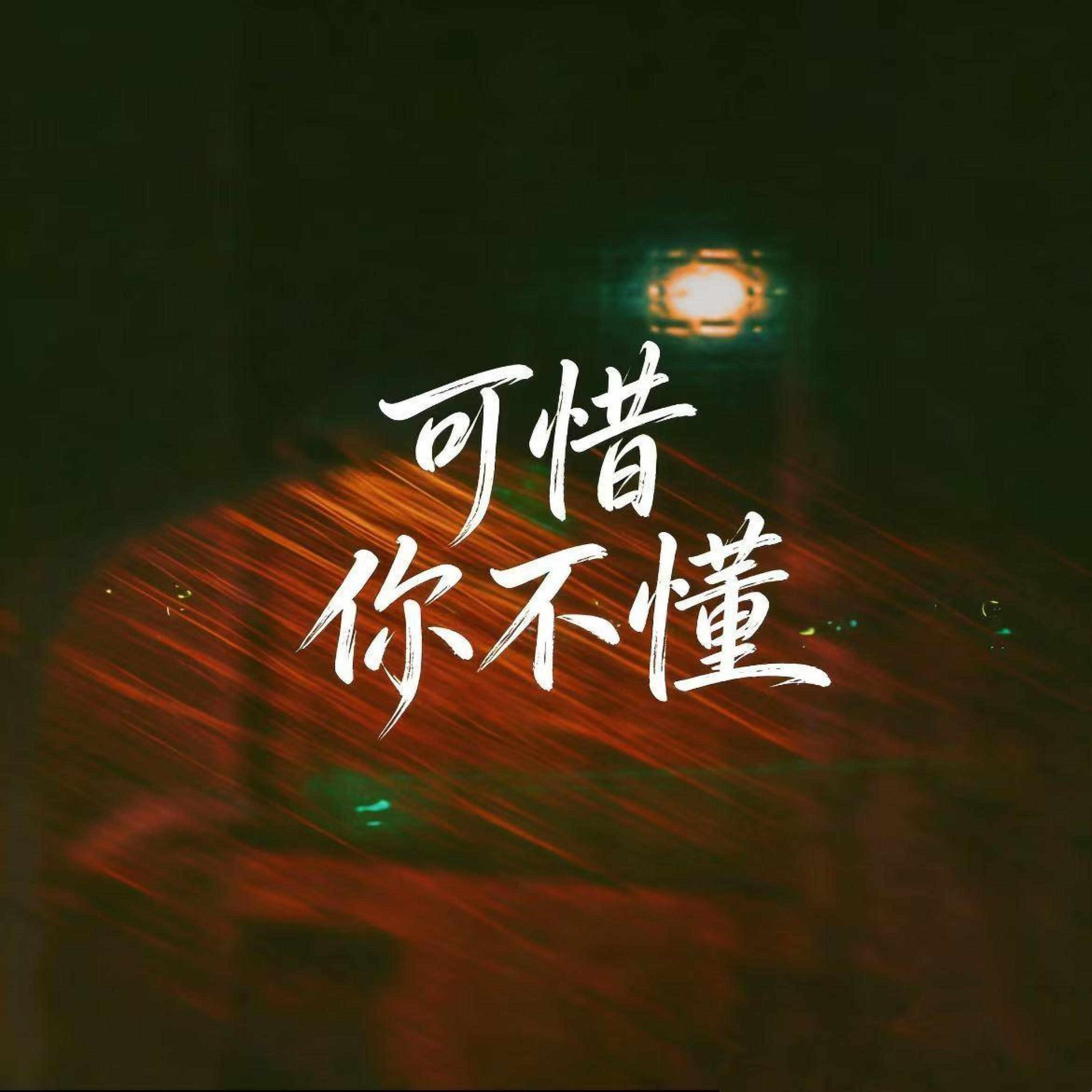 Релиз 可惜你不懂