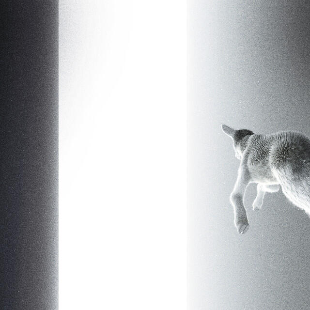 Постер альбома Keep Looking Where The Light Comes From