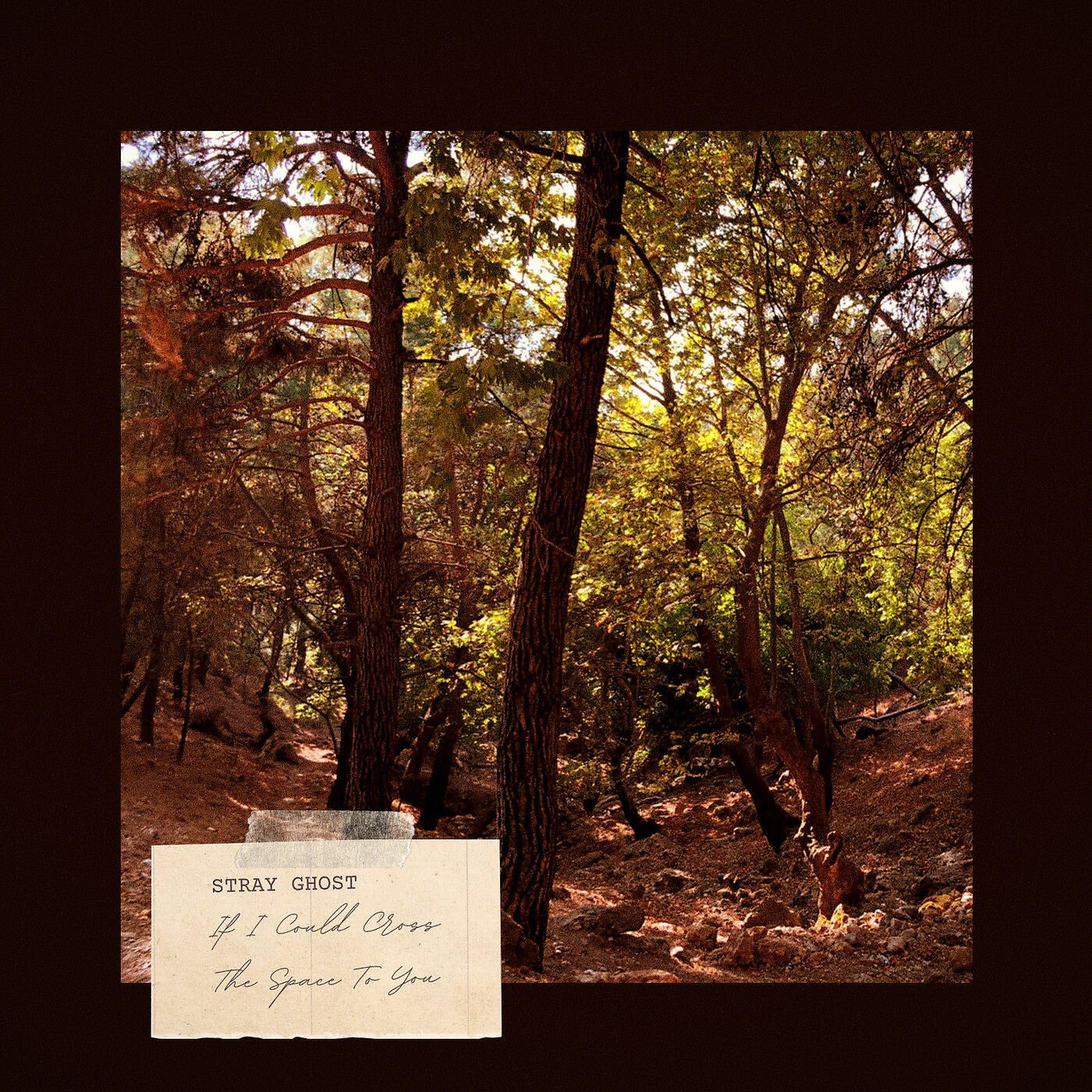 Релиз If I Could Cross the Space to You