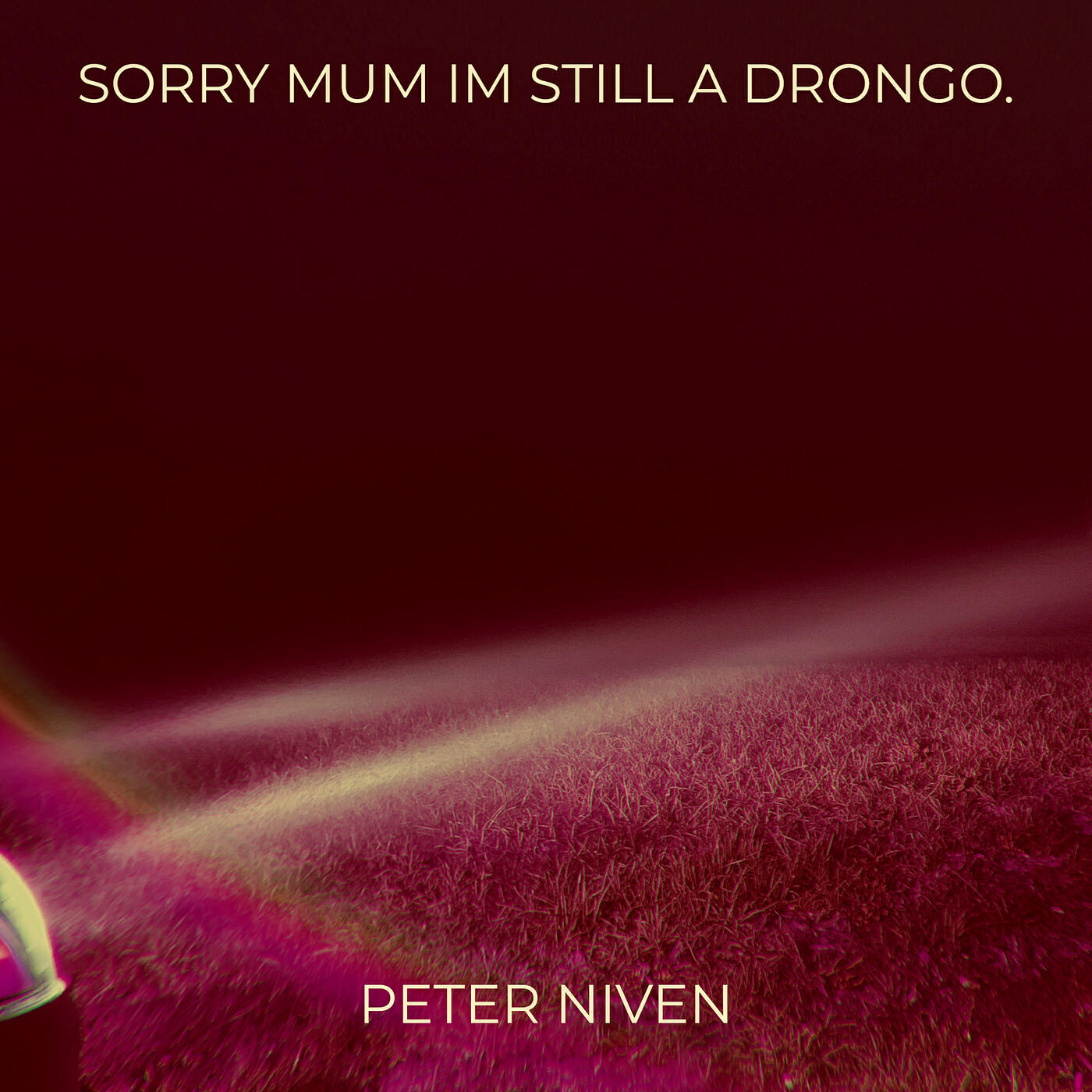 Релиз Sorry Mum Im Still a Drongo.