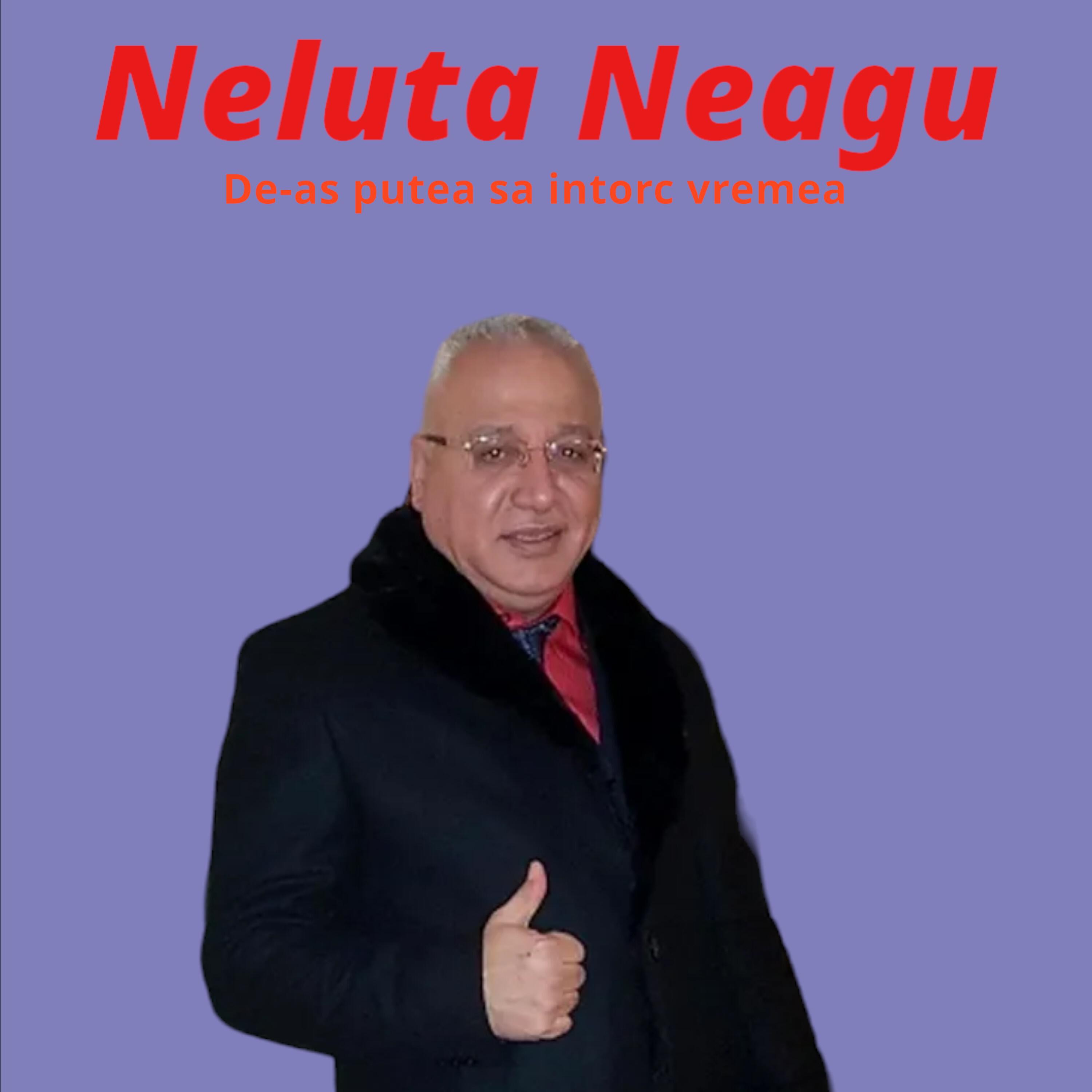 Релиз De-as putea sa intorc vremea