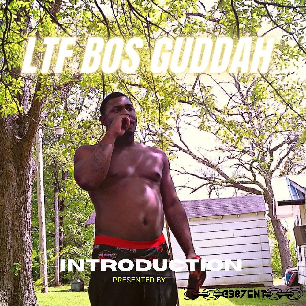 Ltf Bos Guddah