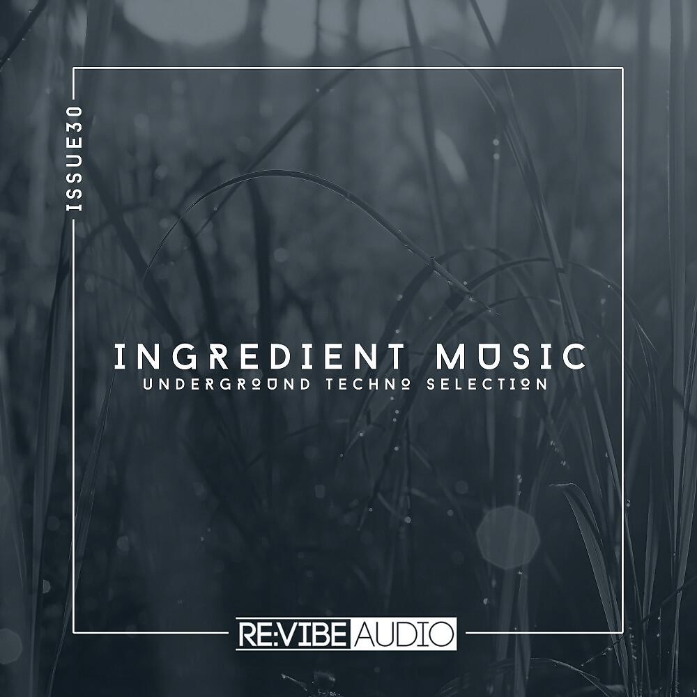Постер альбома Ingredient Music, Vol. 30