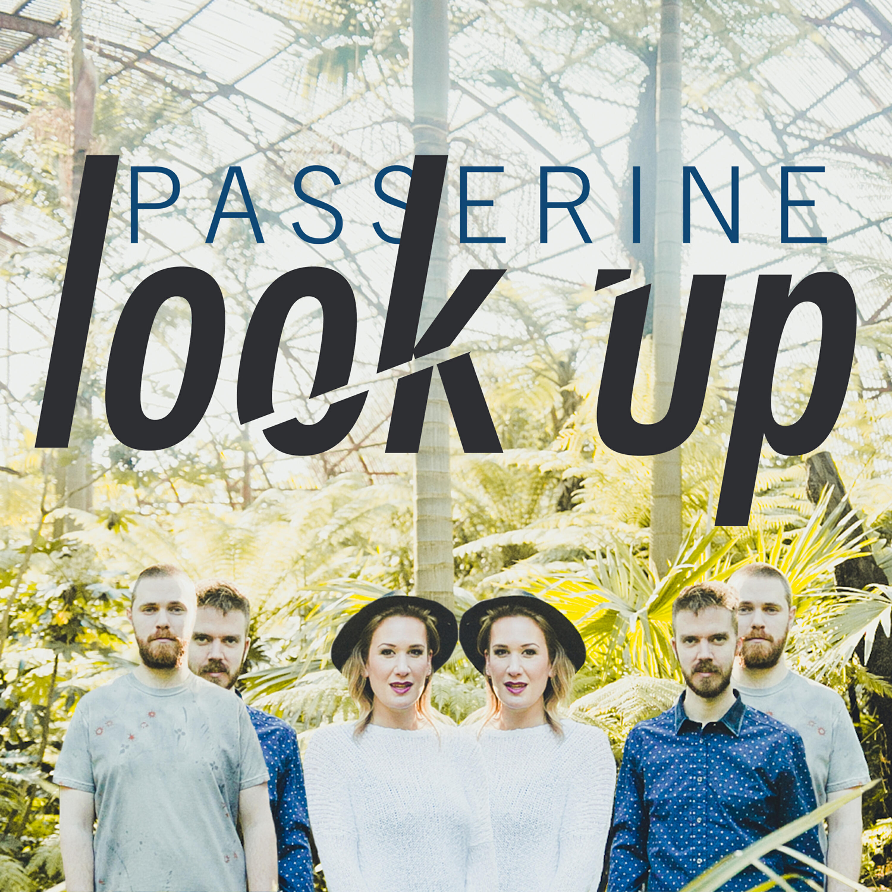 Релиз Look Up