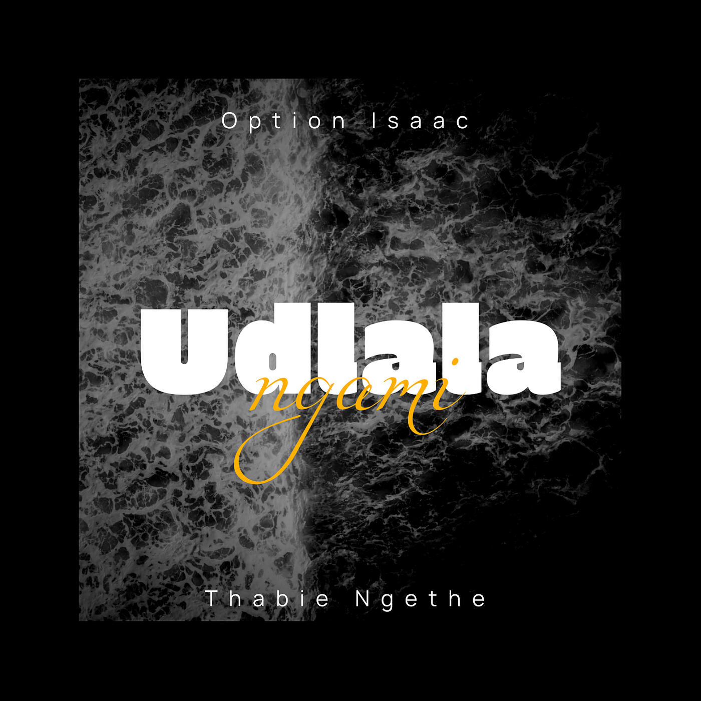 Релиз Udlala Ngami