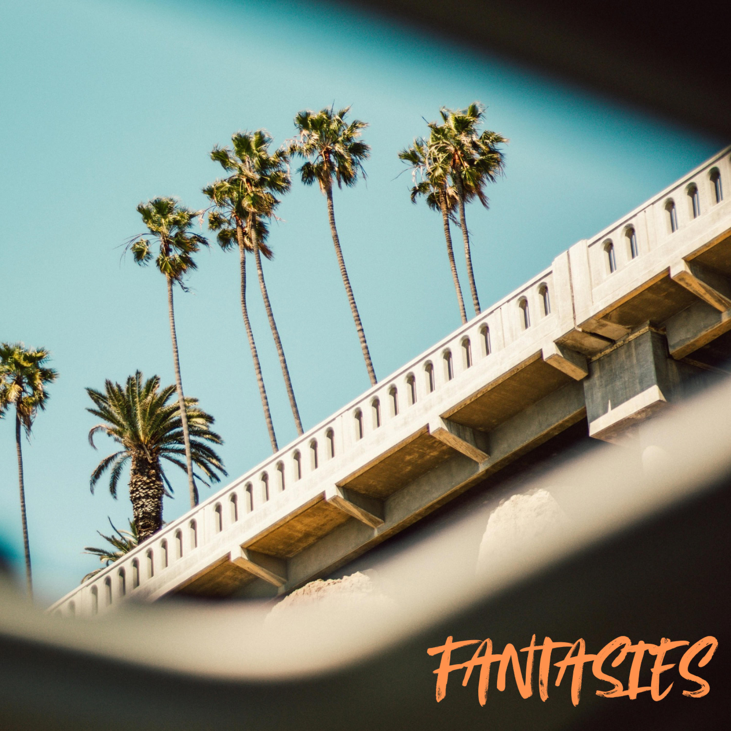 Релиз Fantasies