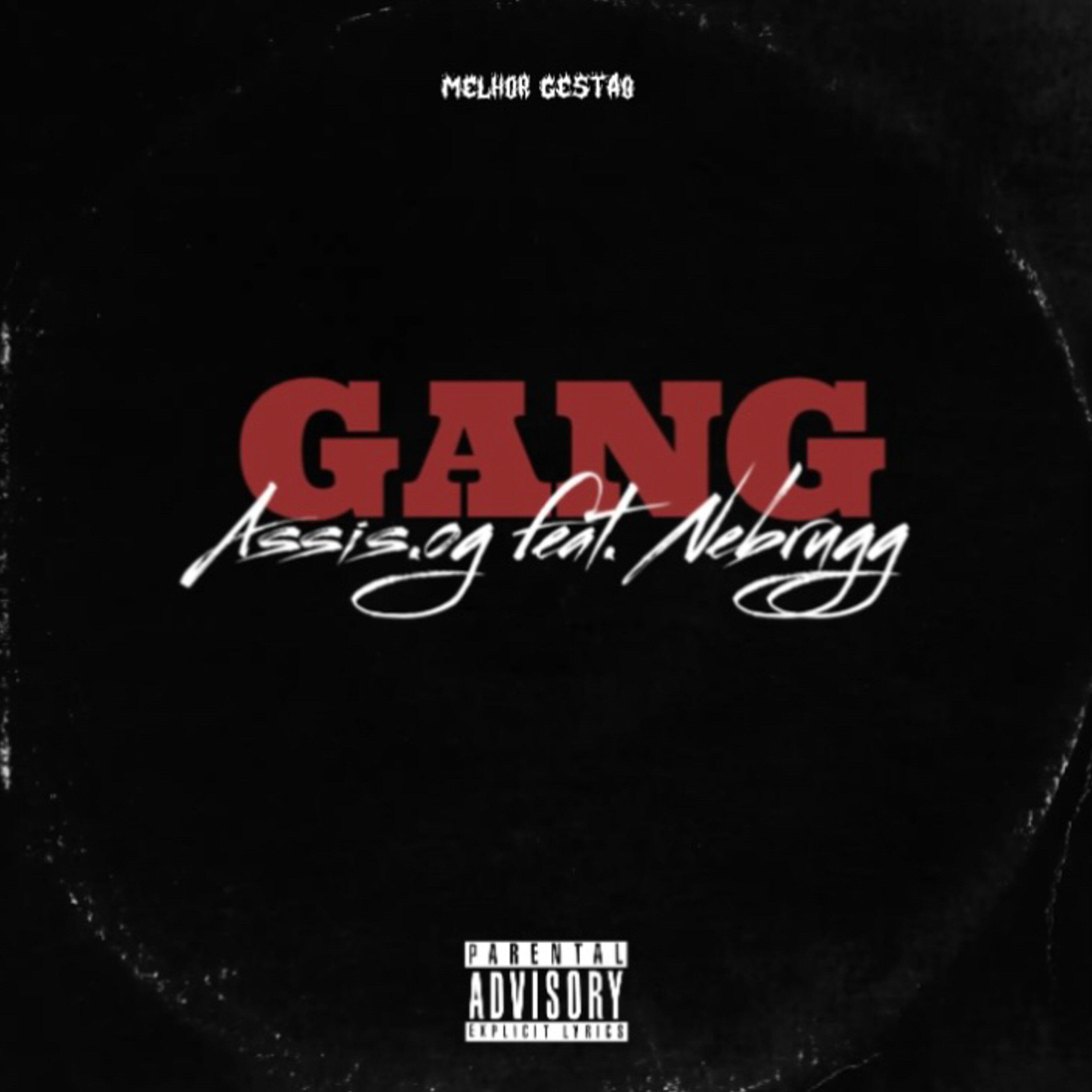 Релиз Gang