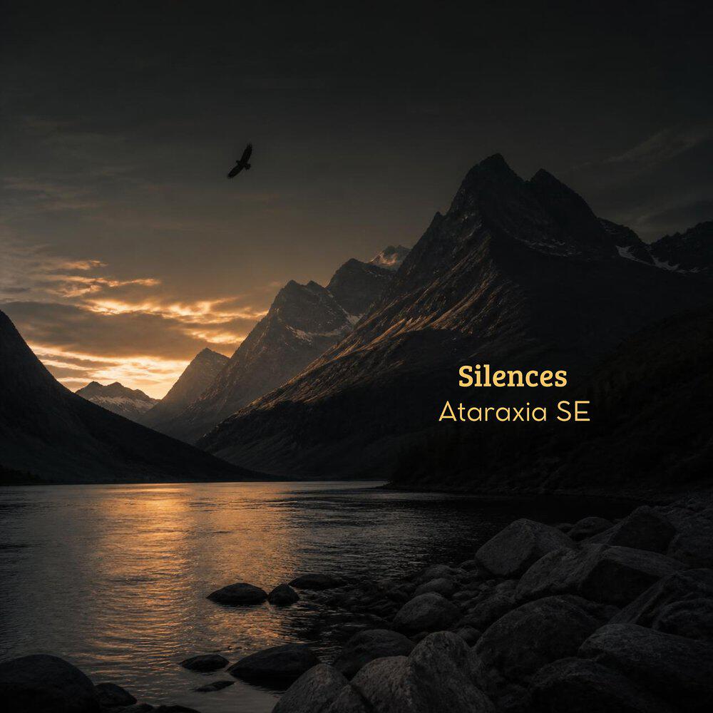 Релиз Silences