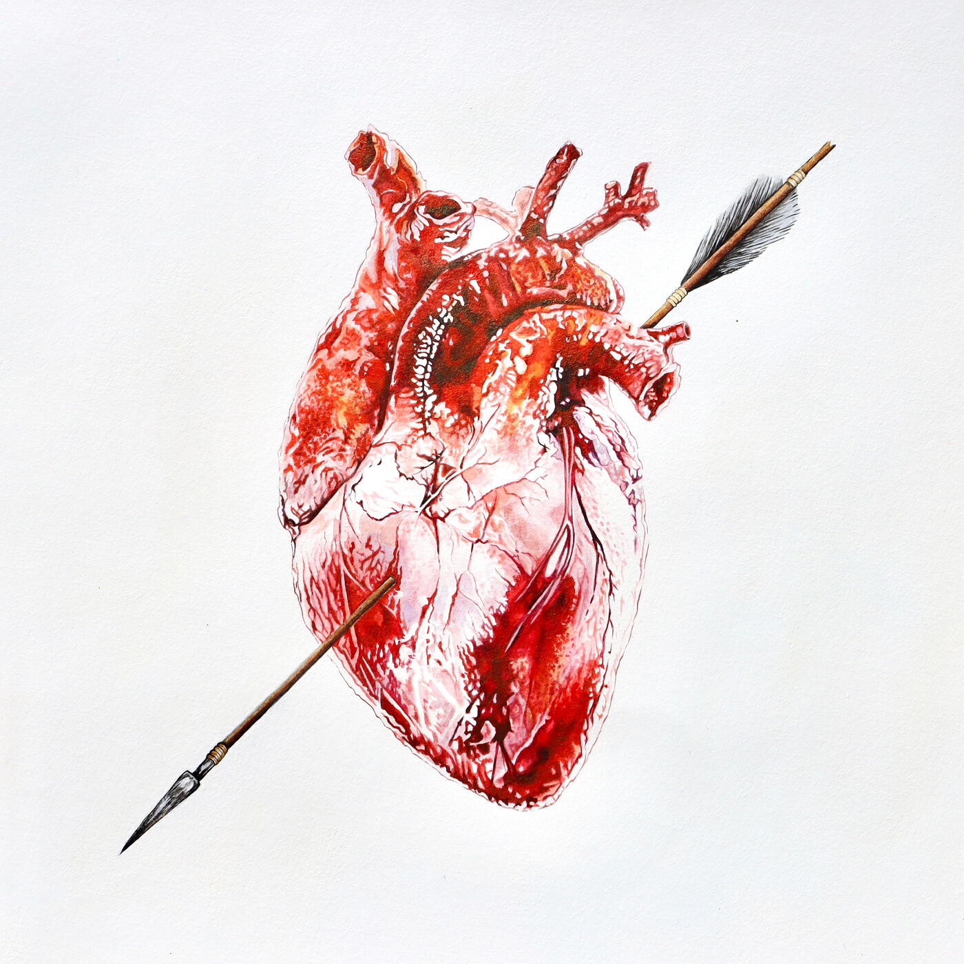 Релиз To Make You Feel My Love