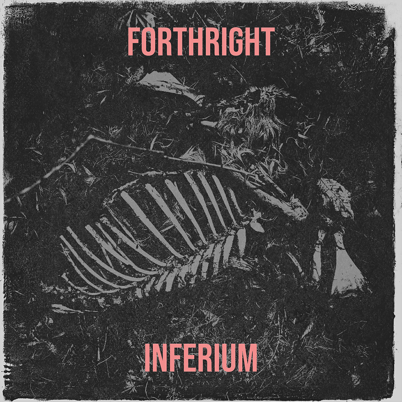 Релиз Forthright