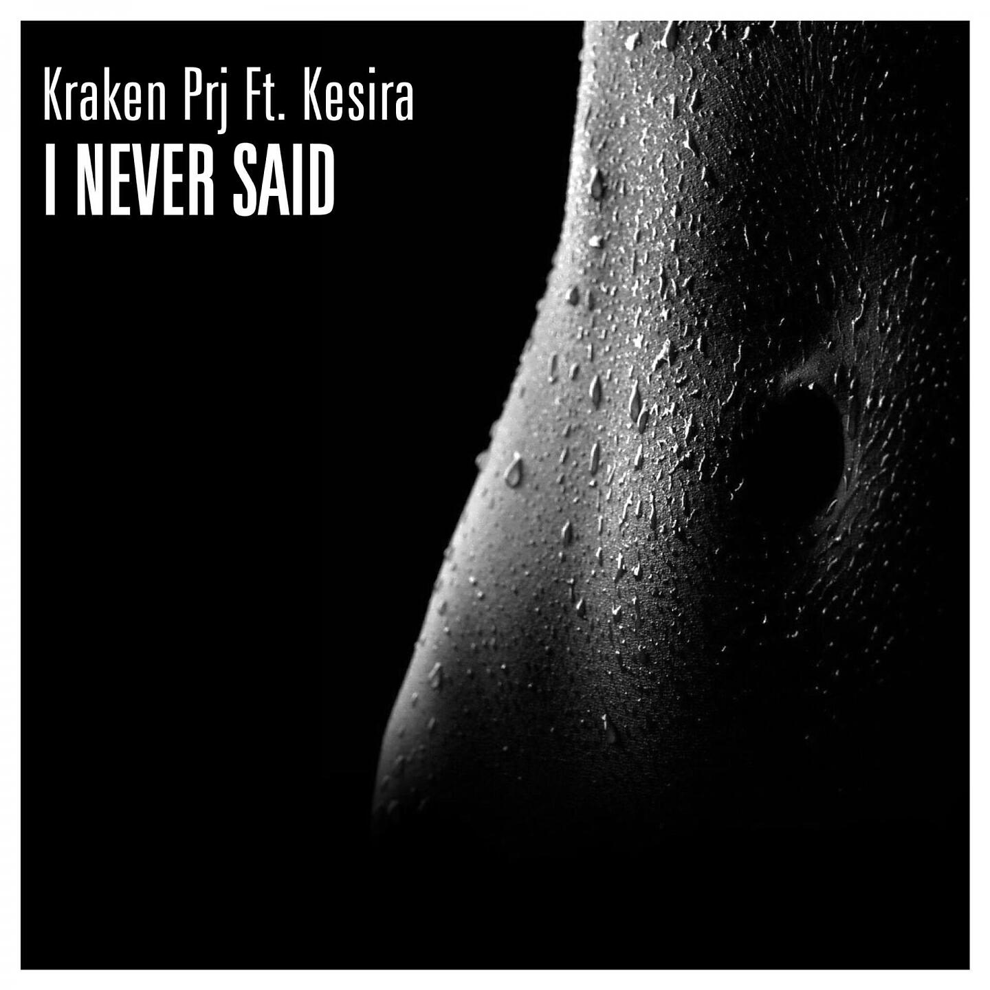 Релиз I Never Said