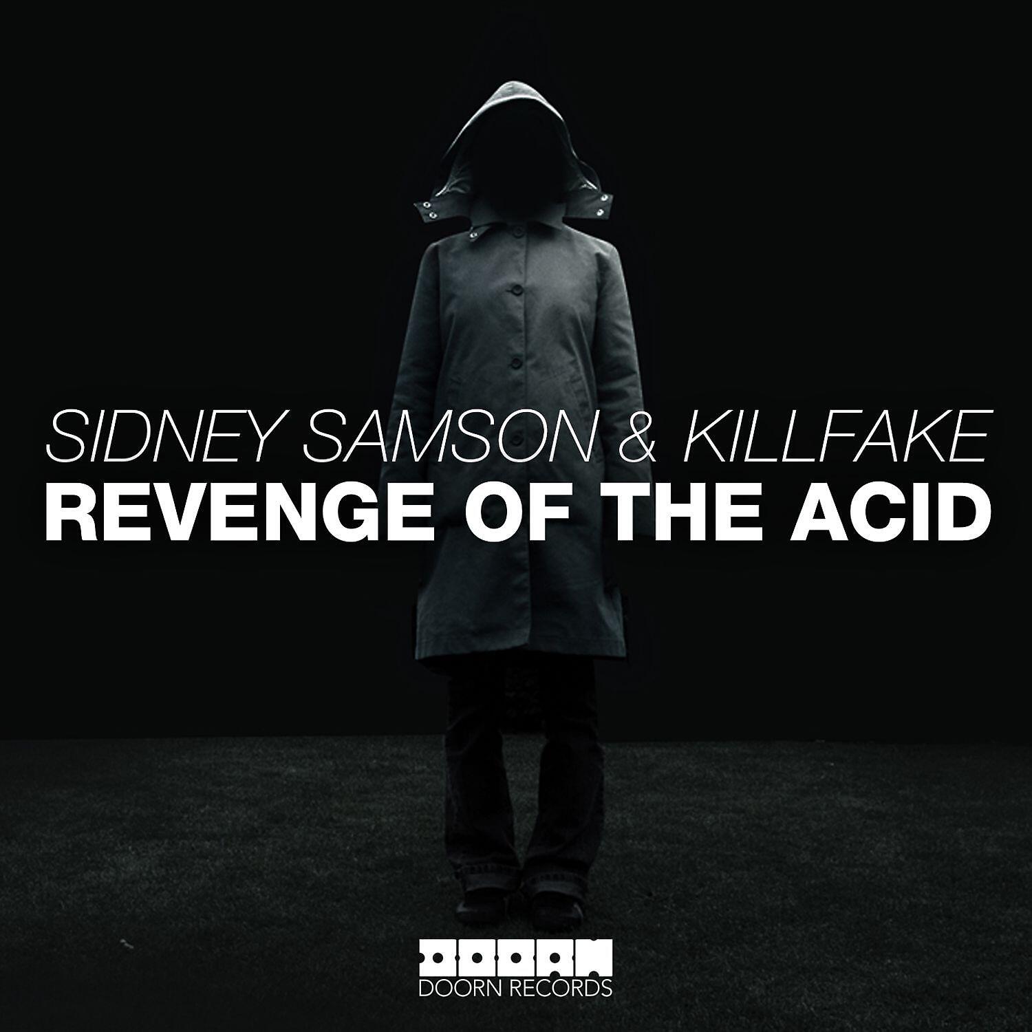 Постер альбома Revenge Of The Acid