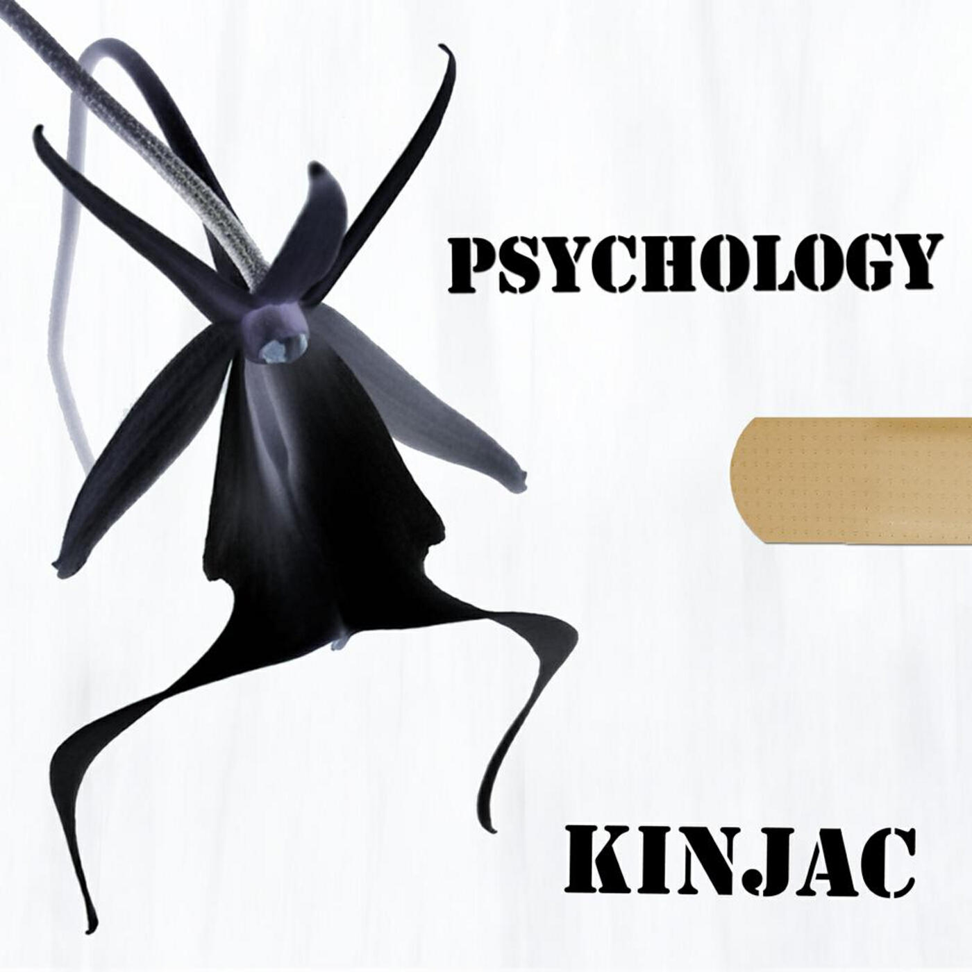 Релиз Psychology