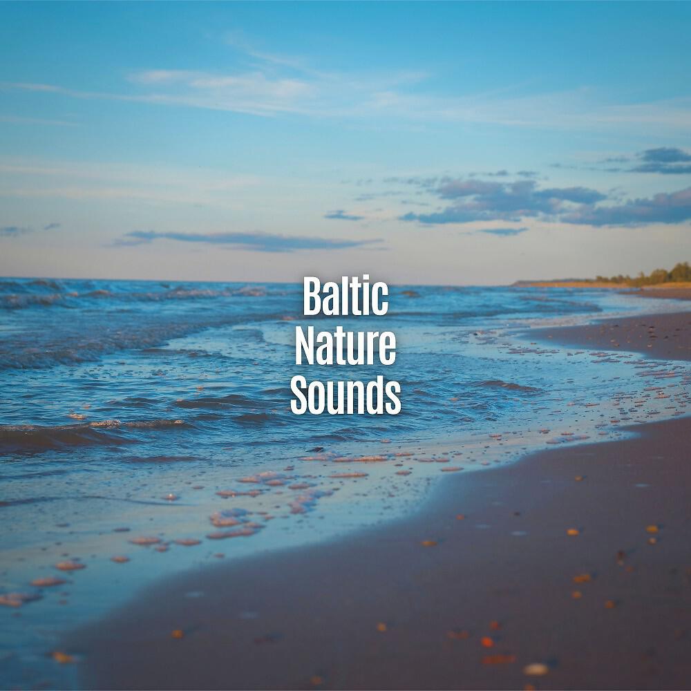 Постер альбома Relaxing Nature Sounds