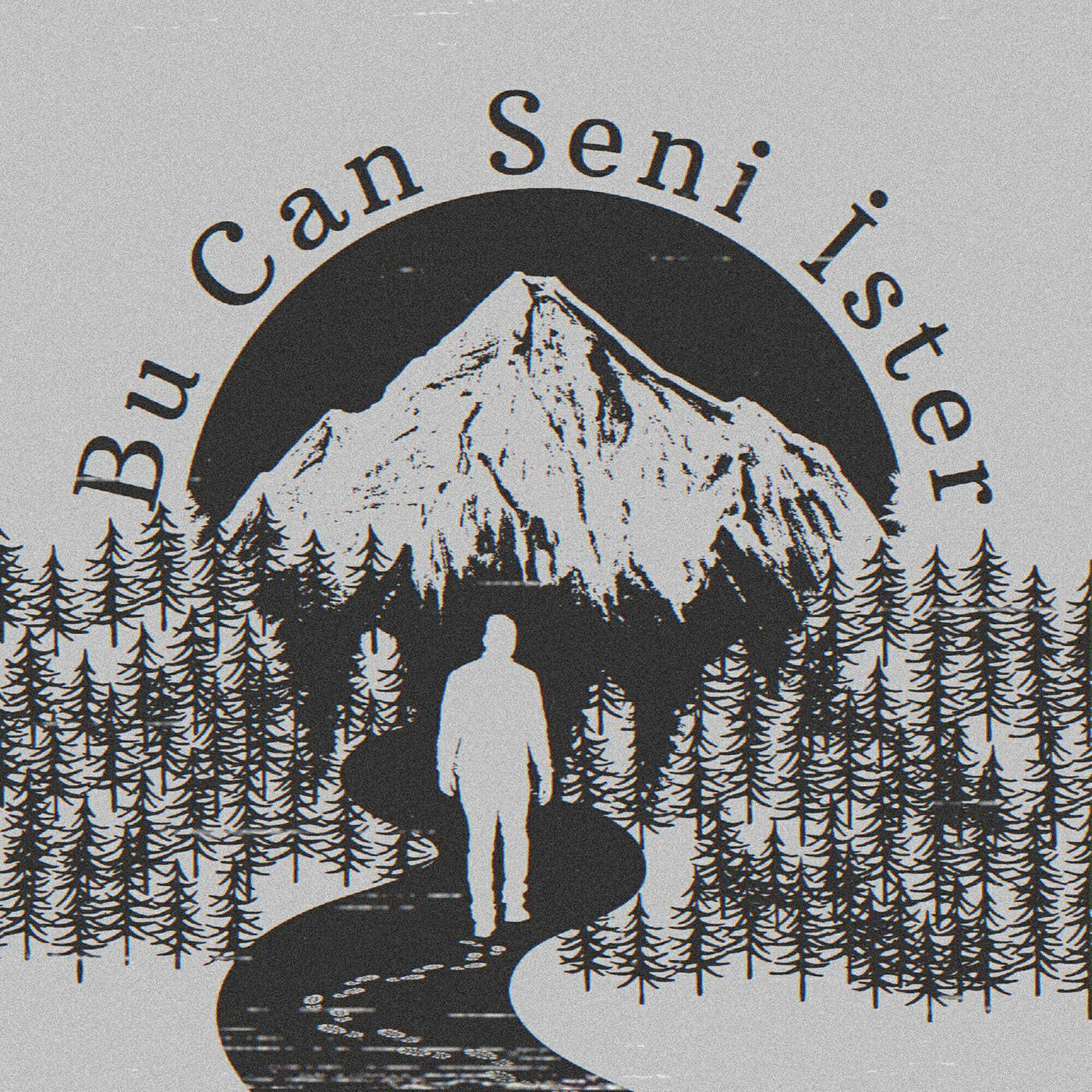 Постер альбома Bu Can Seni İster