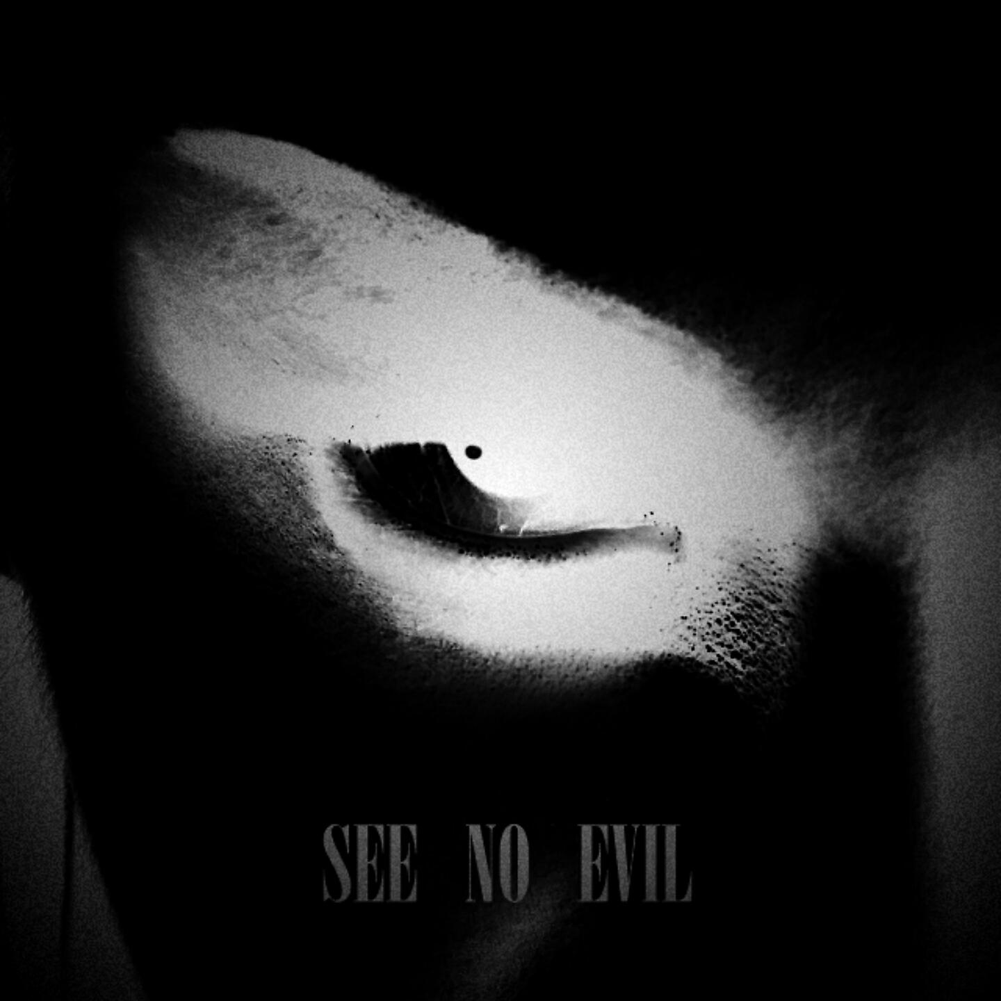 Постер альбома SEE NO EVIL