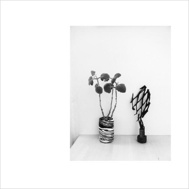 Релиз In a Dream
