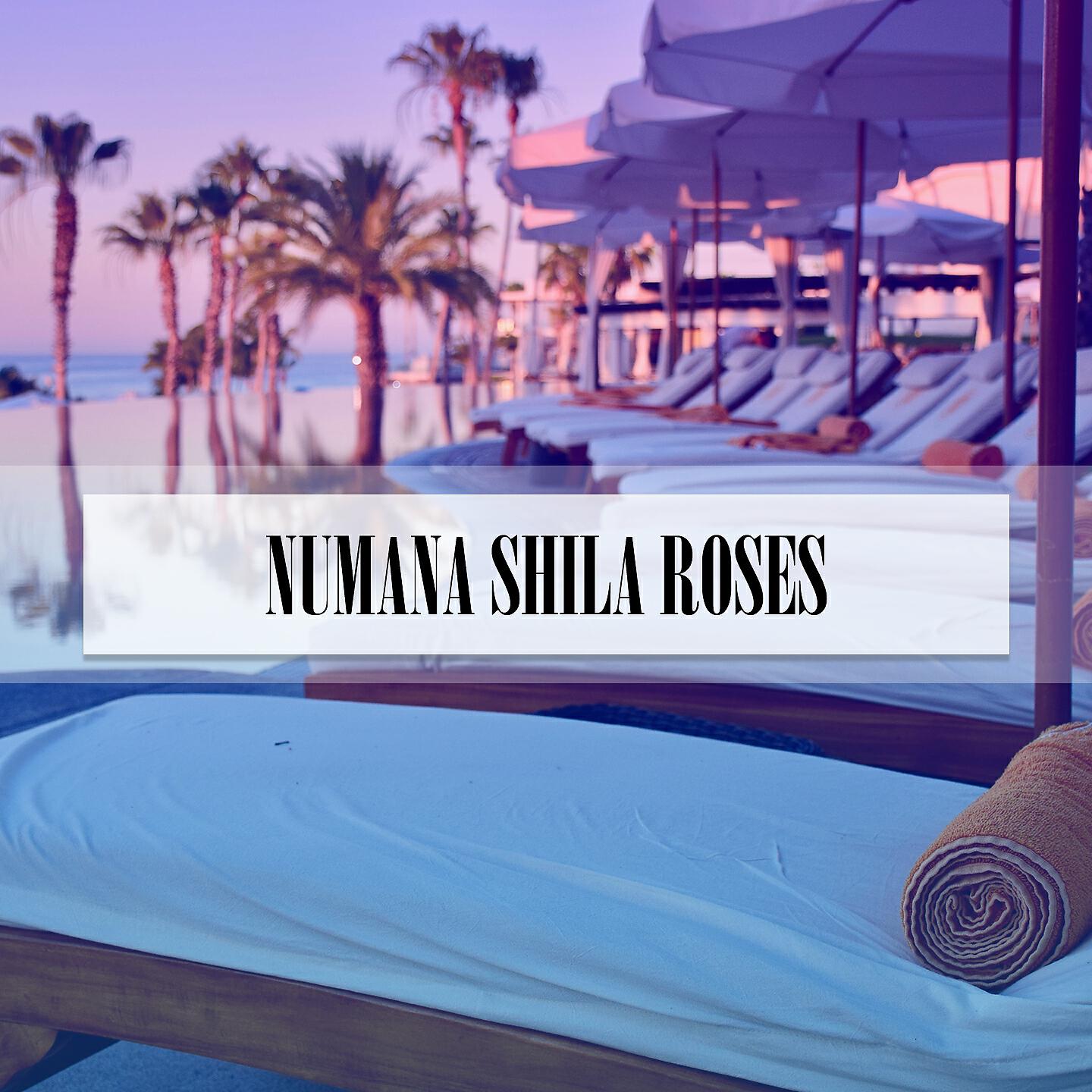 Релиз NUMANA SHILA ROSES