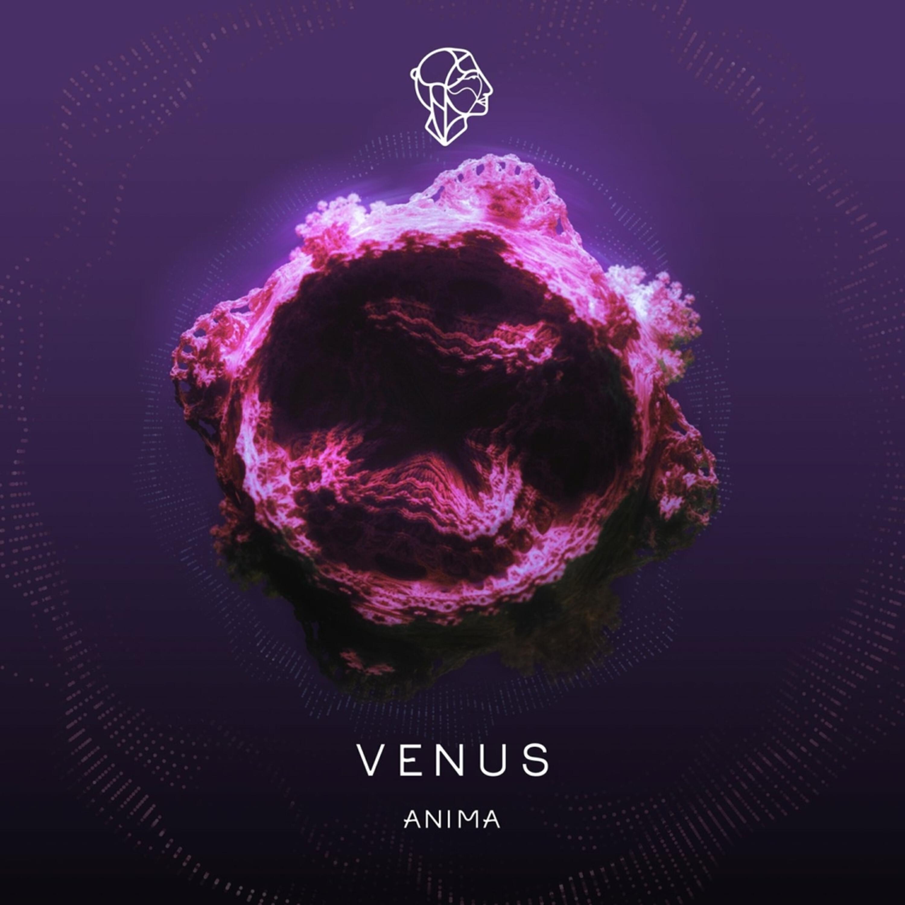 Релиз Venus