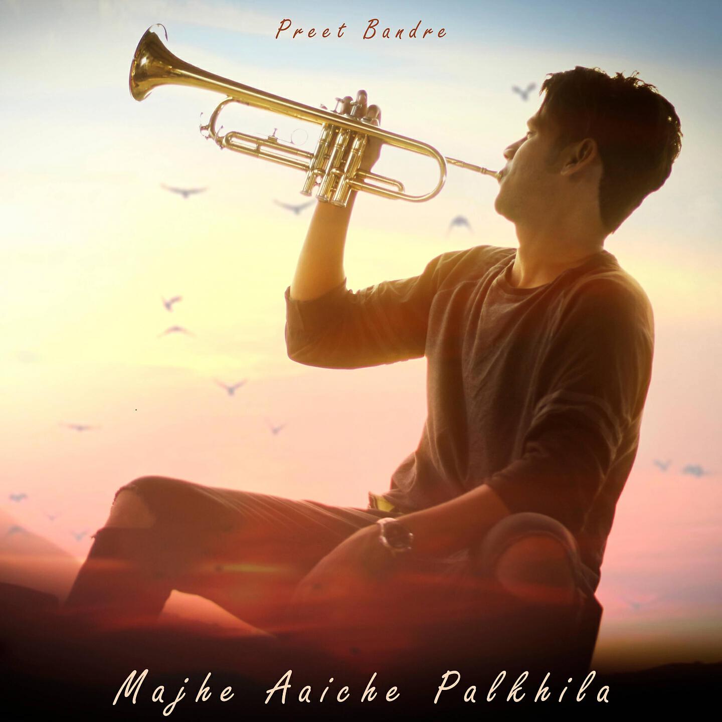 Релиз Majhe Aaiche Palkhila