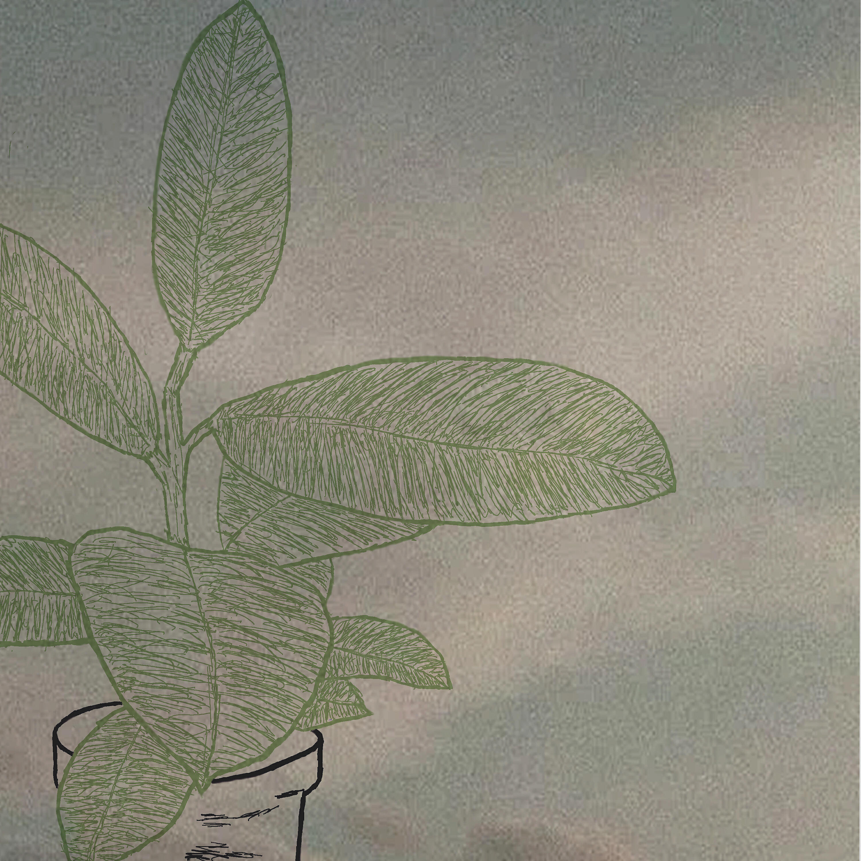 Релиз Flowers