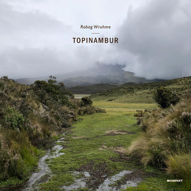 Релиз Topinambur EP