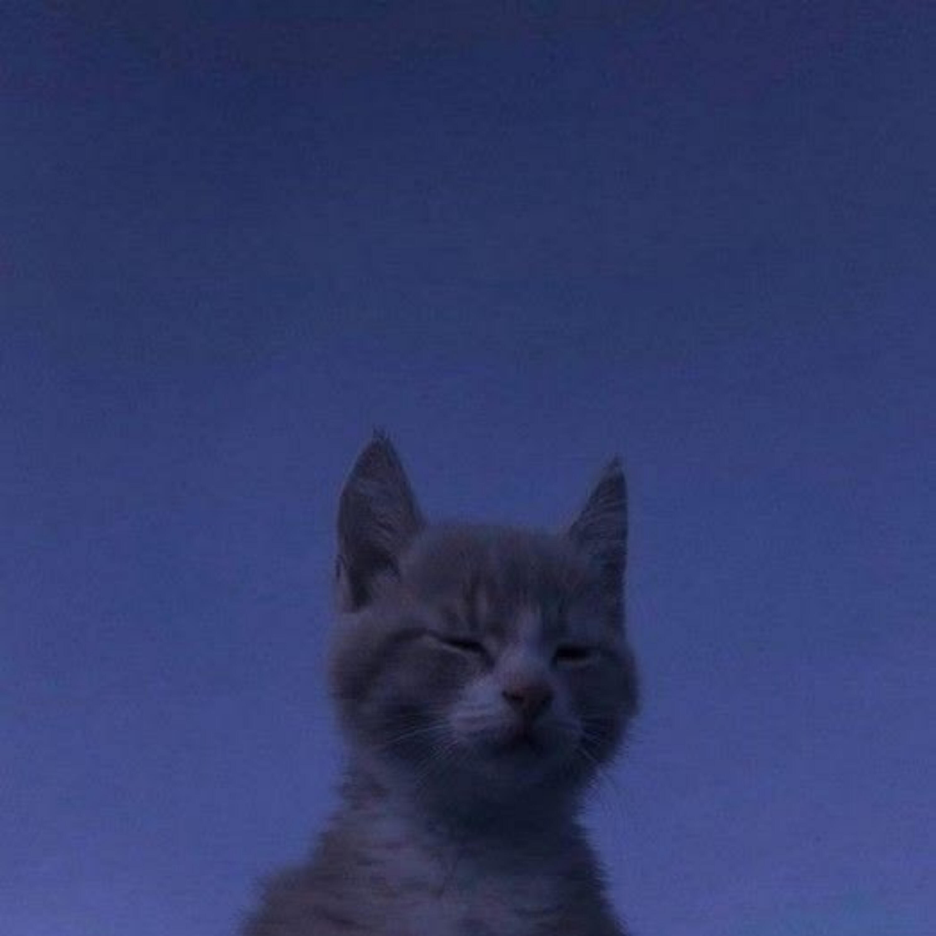 Релиз Triangel Violin Classic (Slowed)