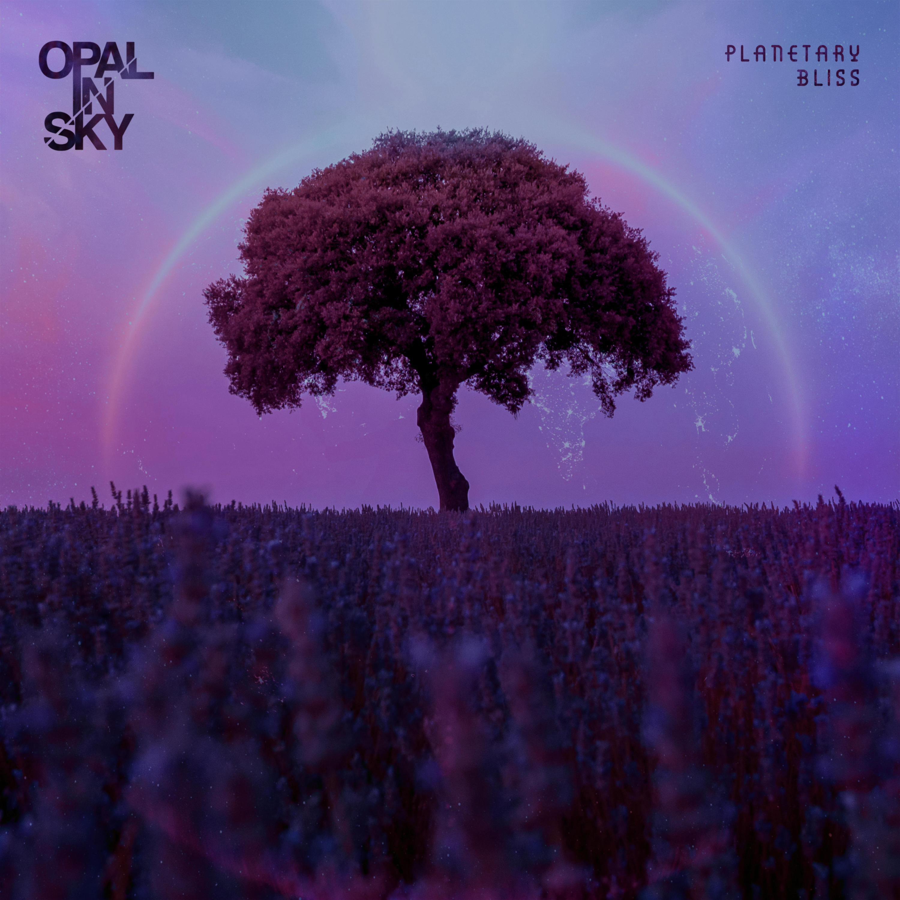 Релиз Planetary Bliss