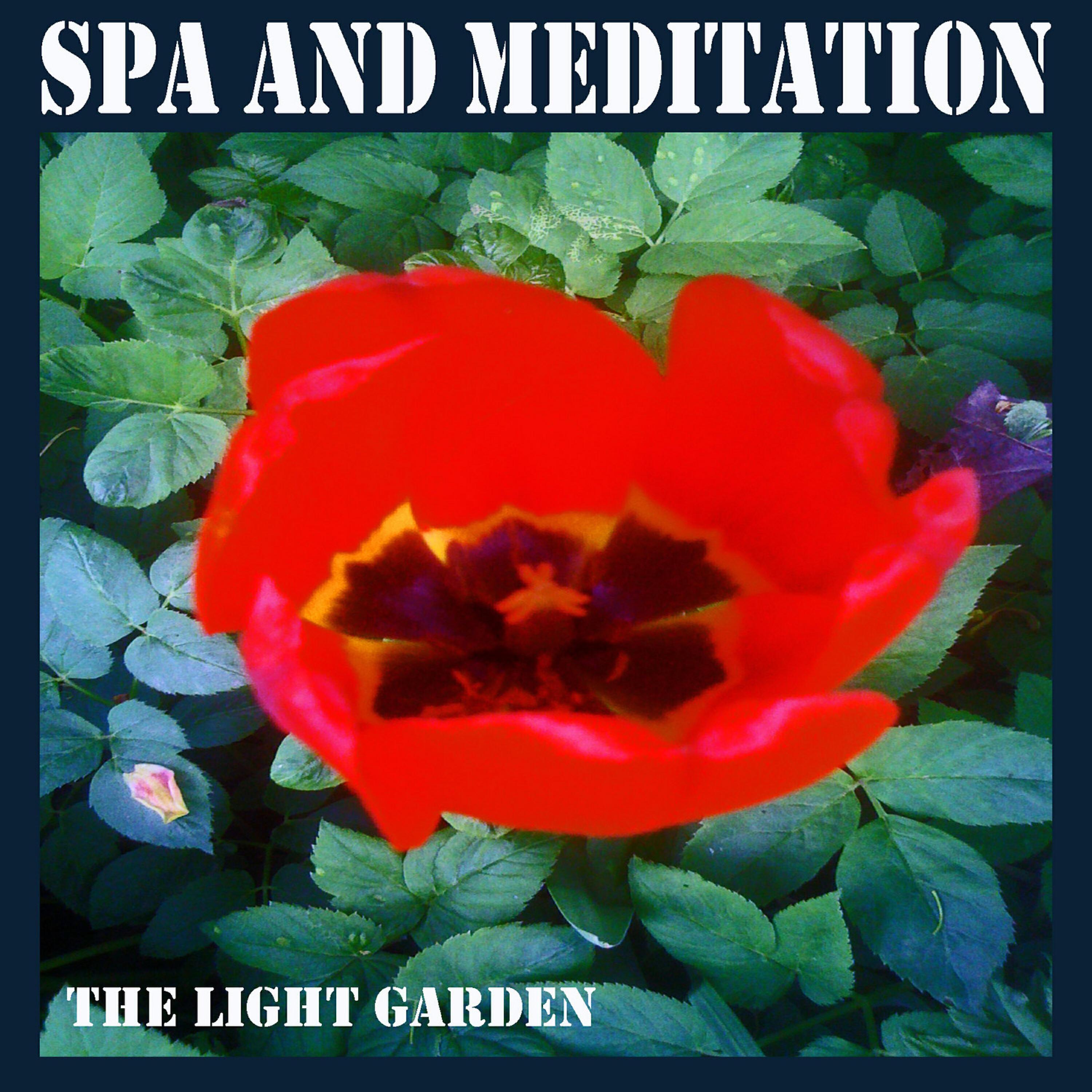 The Light Garden
