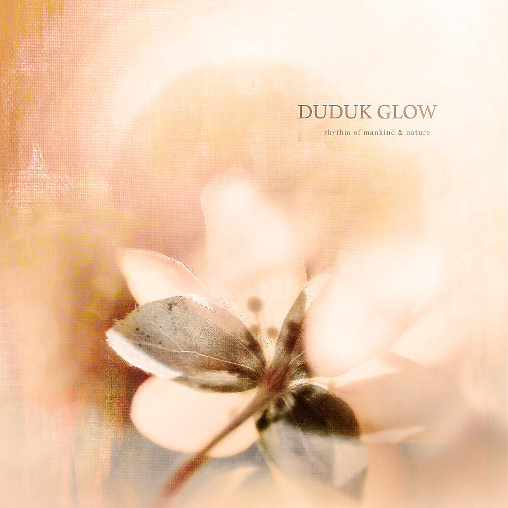 Релиз Duduk Glow
