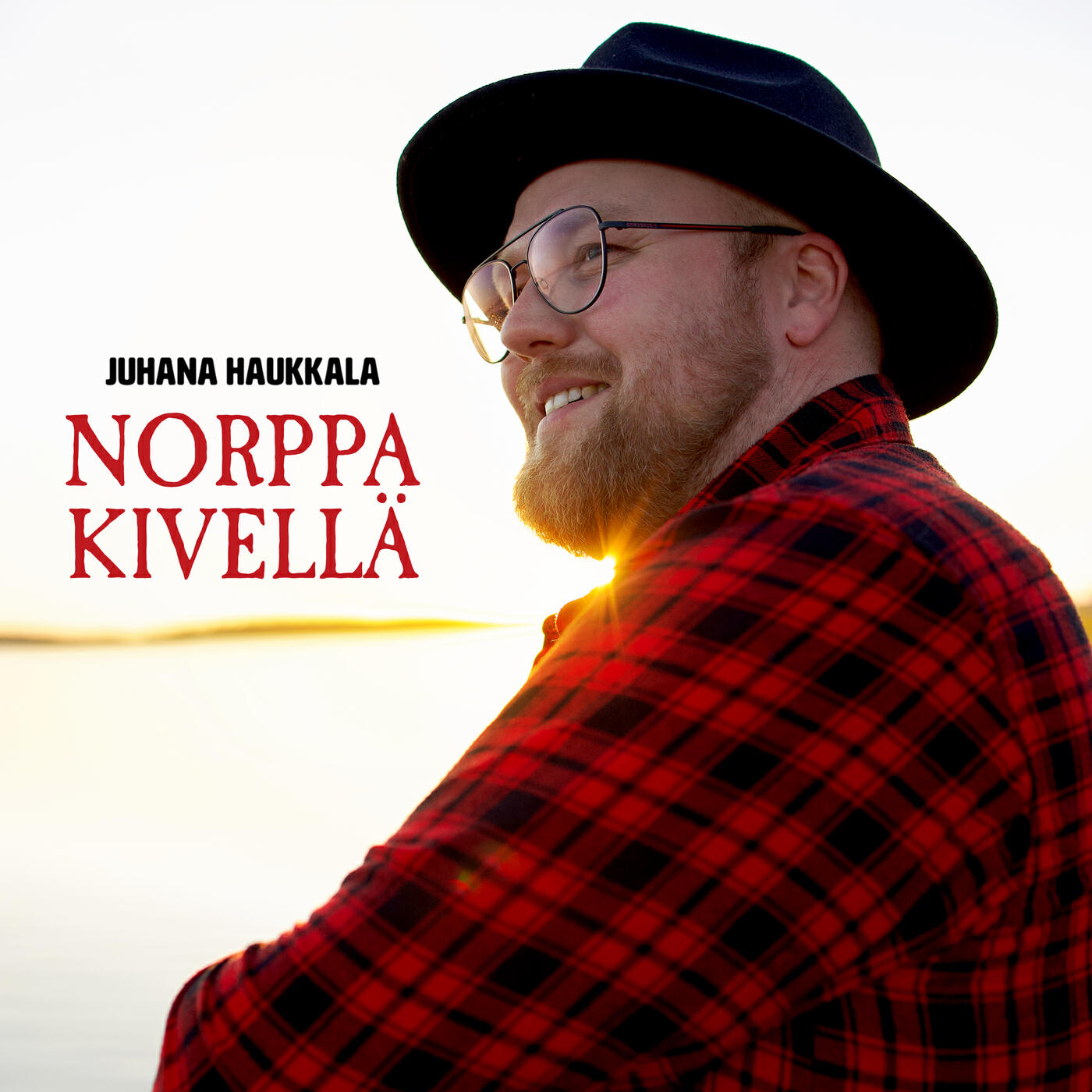 Релиз Norppa kivellä