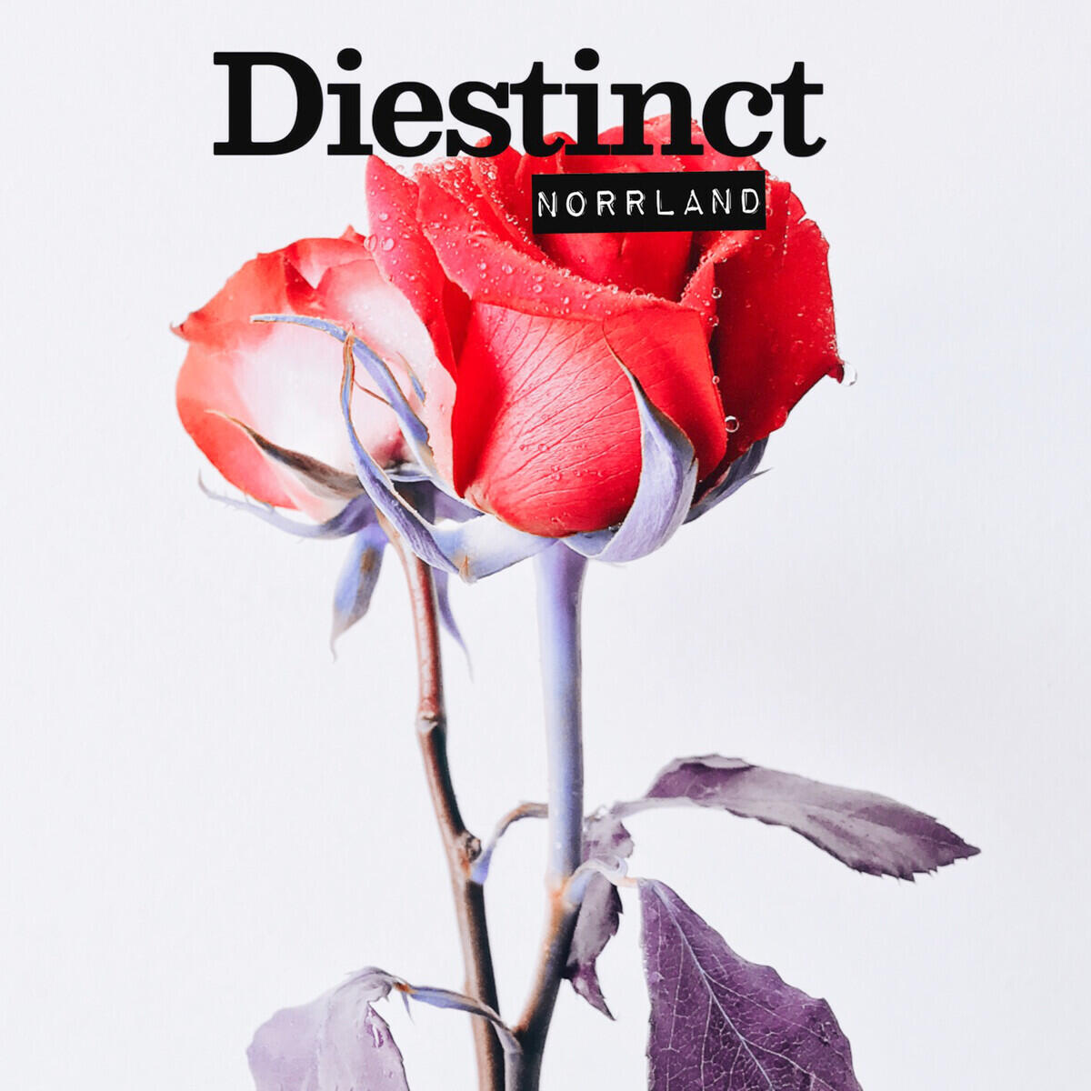 Релиз Norrland