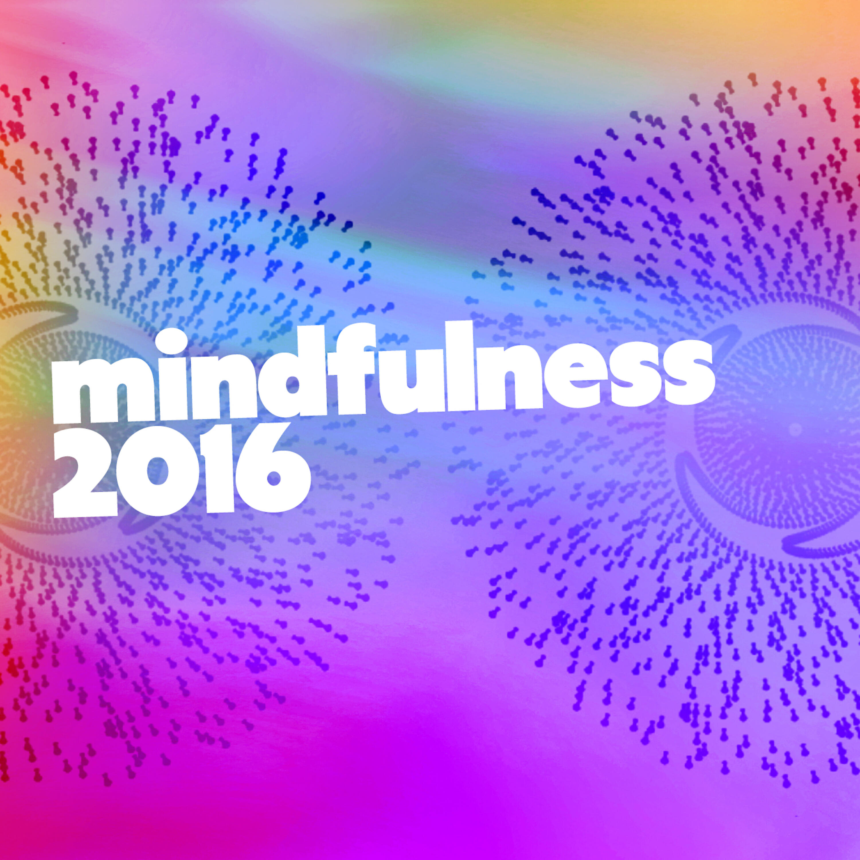 Mindfulness 2016