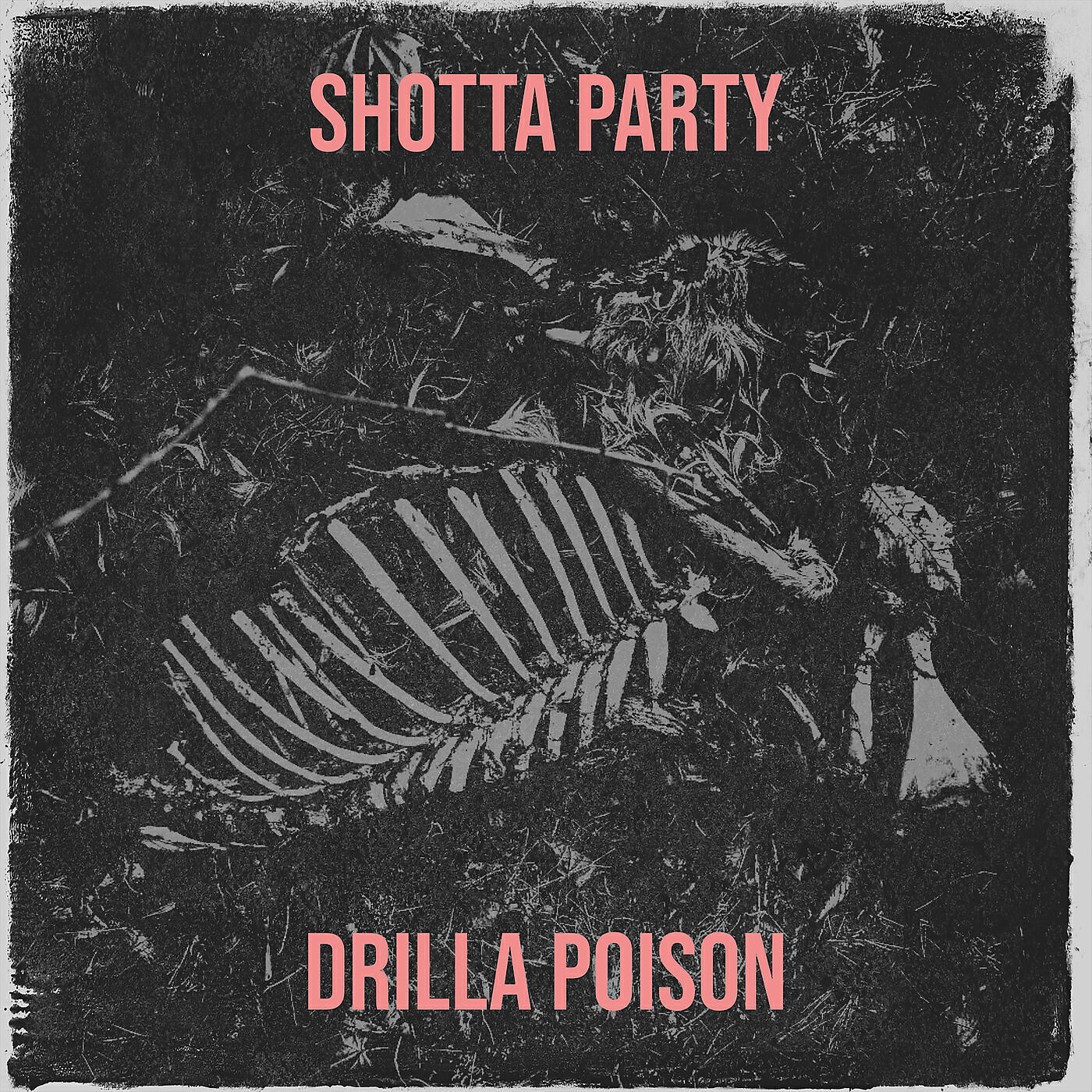 Постер альбома Shotta Party