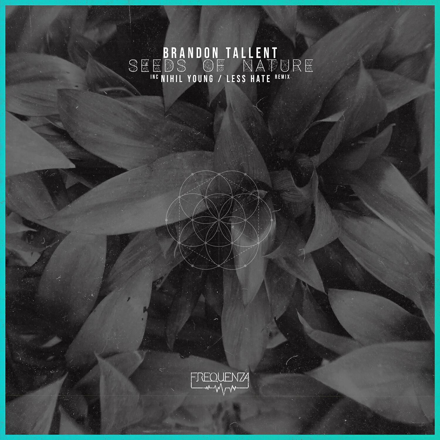 Релиз Seeds of Nature